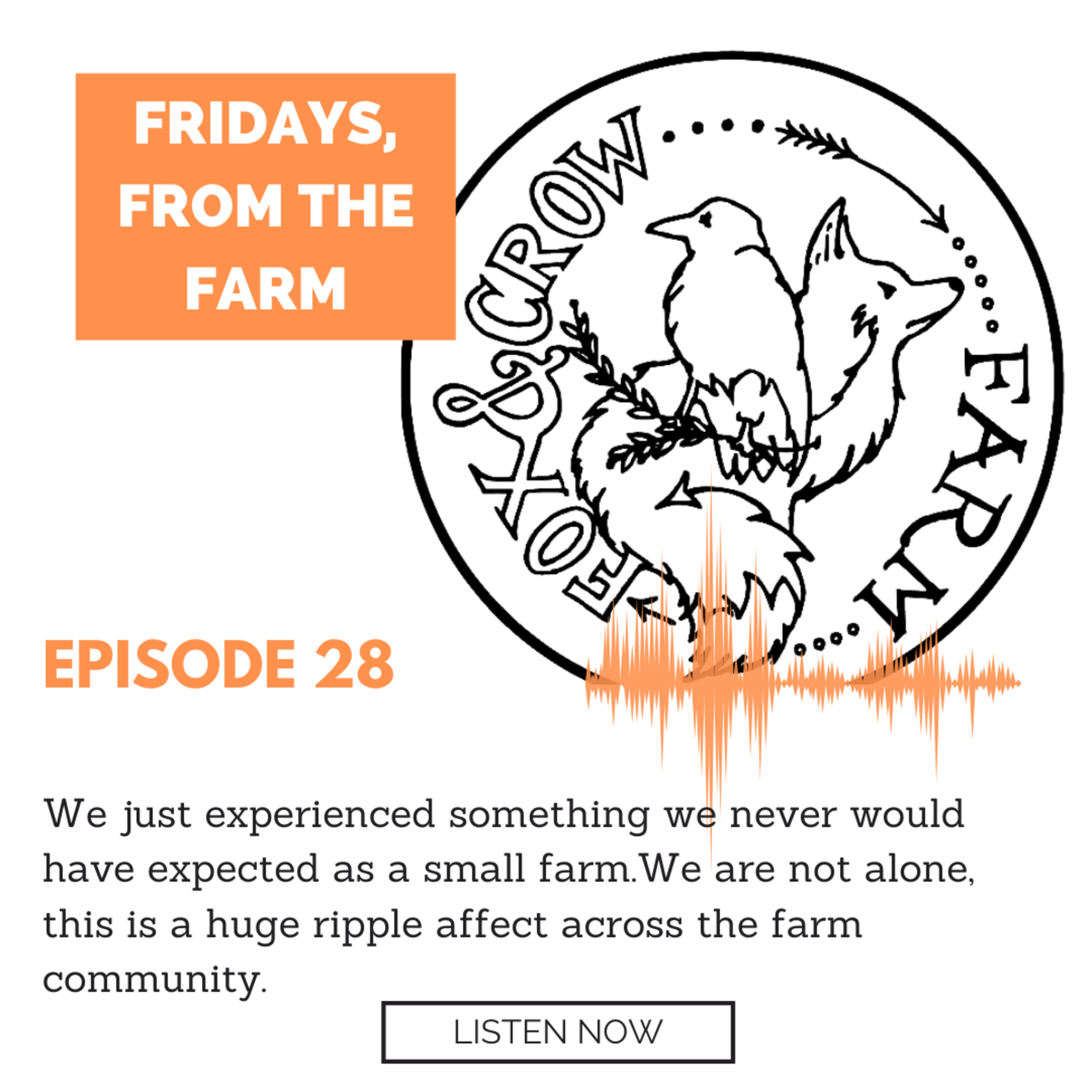 Fridays, From the Farm