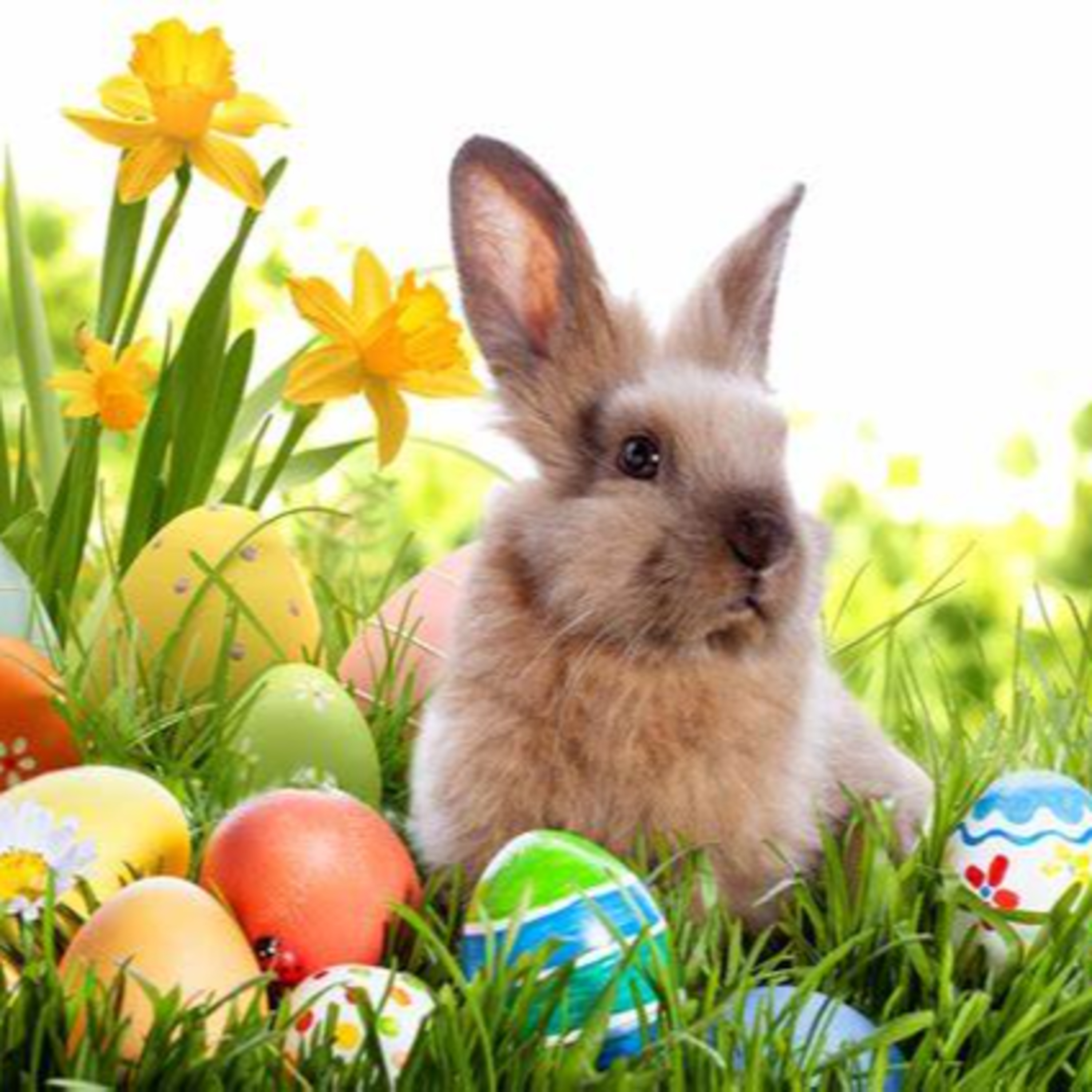 Easter Bunny episode artwork