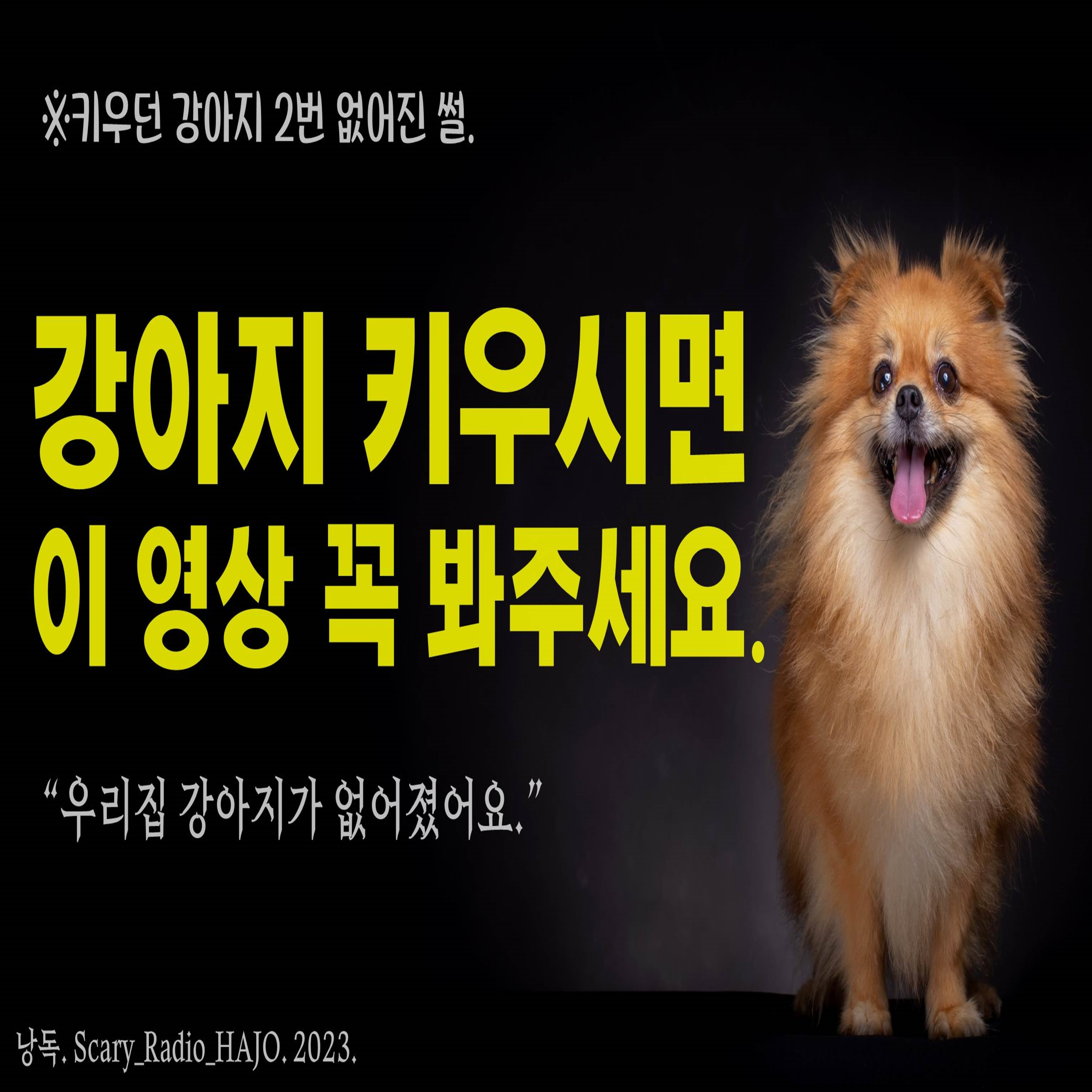 [실화] 강아지 키우는 사람은 주의할 것.｜강아지 2번 잃어버린 썰｜공포라디오 하조