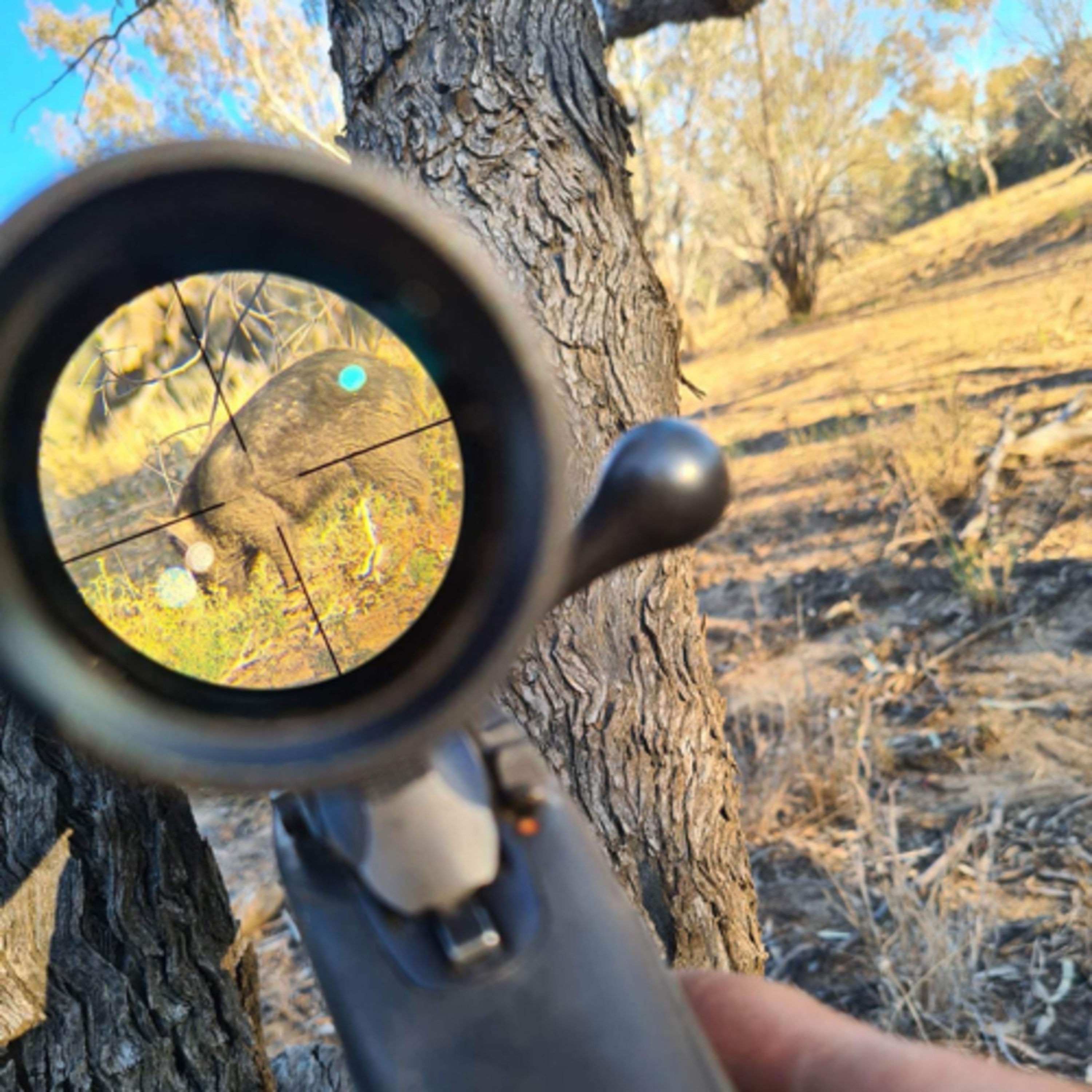 Brodie Hewitt Hunter Trapper Shooter