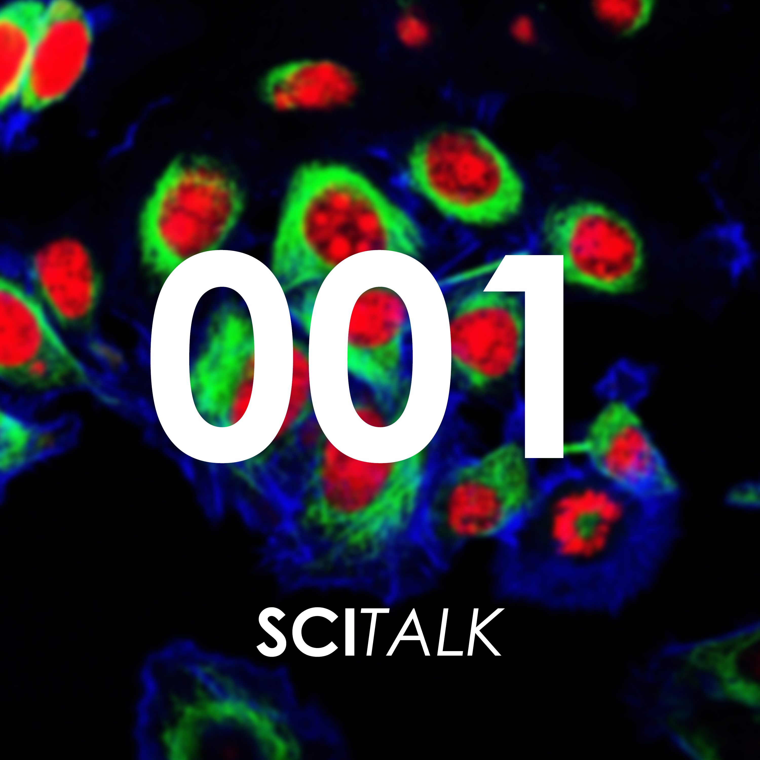 SciTalk