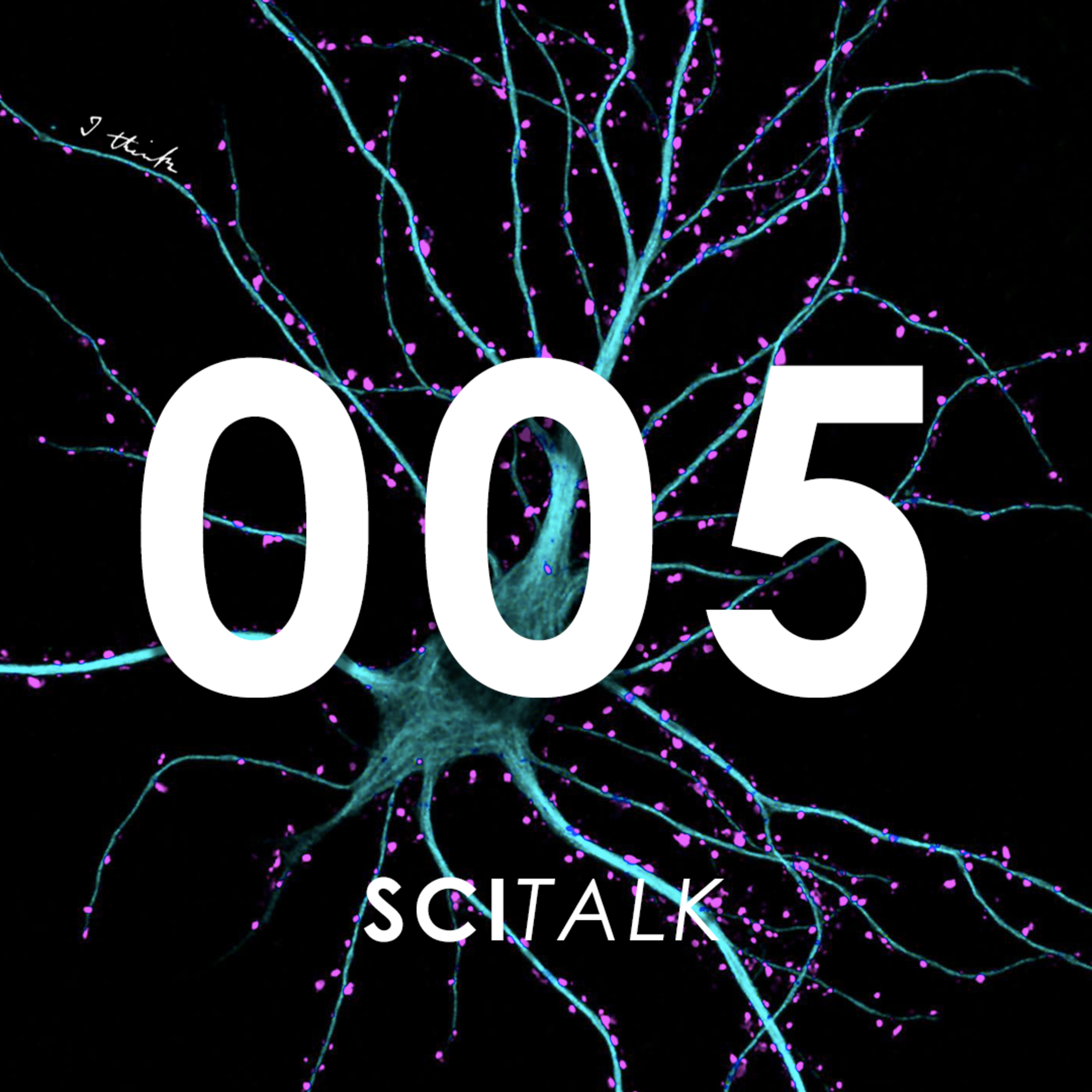 SciTalk