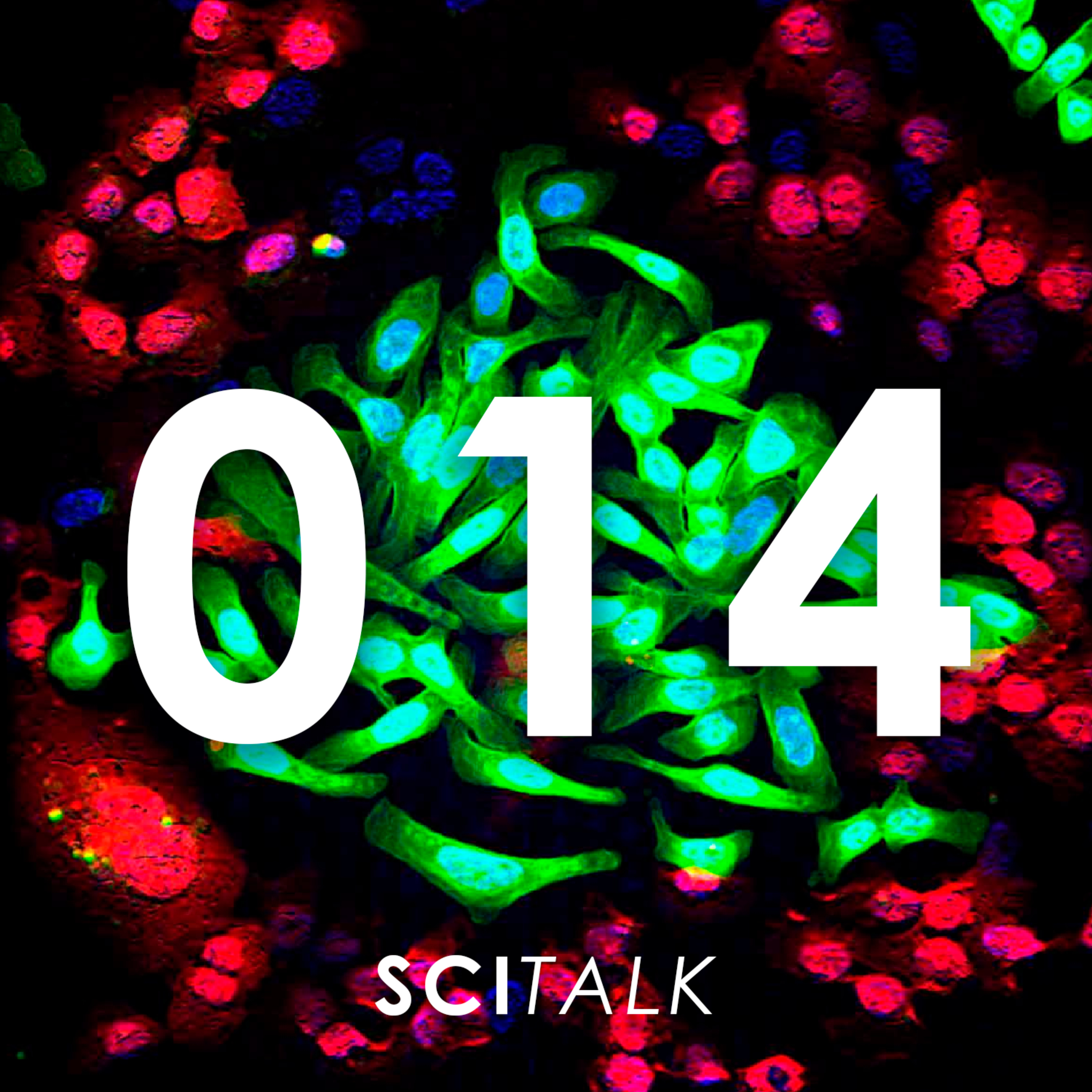 SciTalk