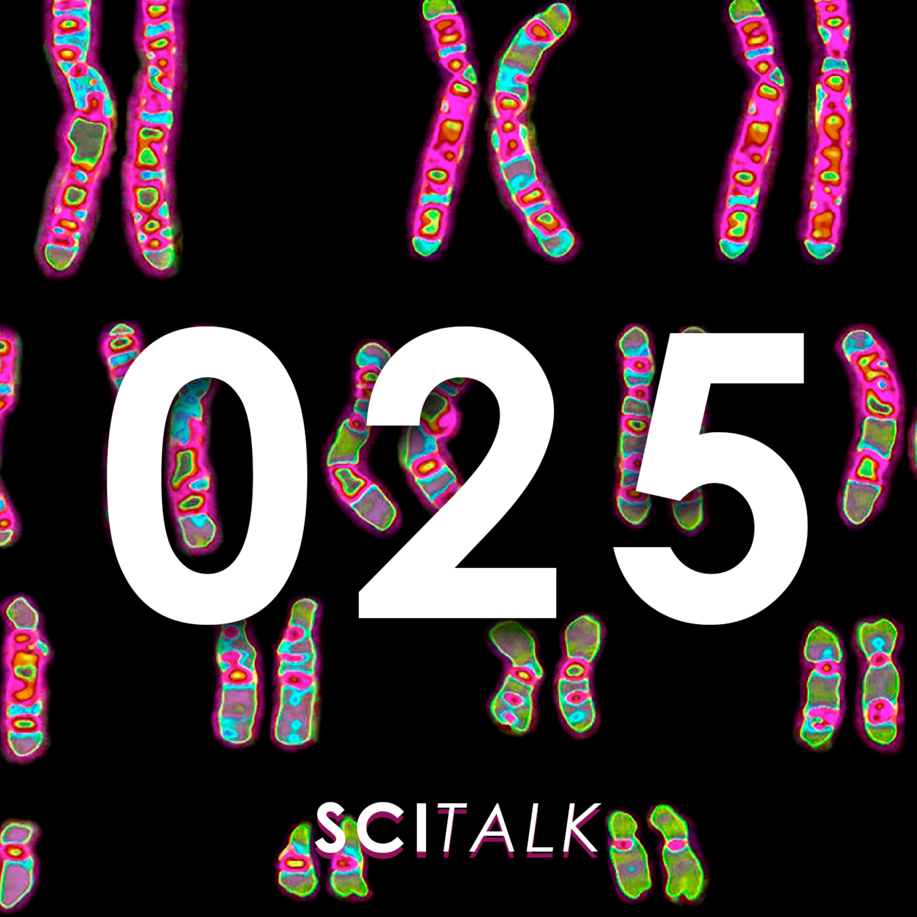 SciTalk