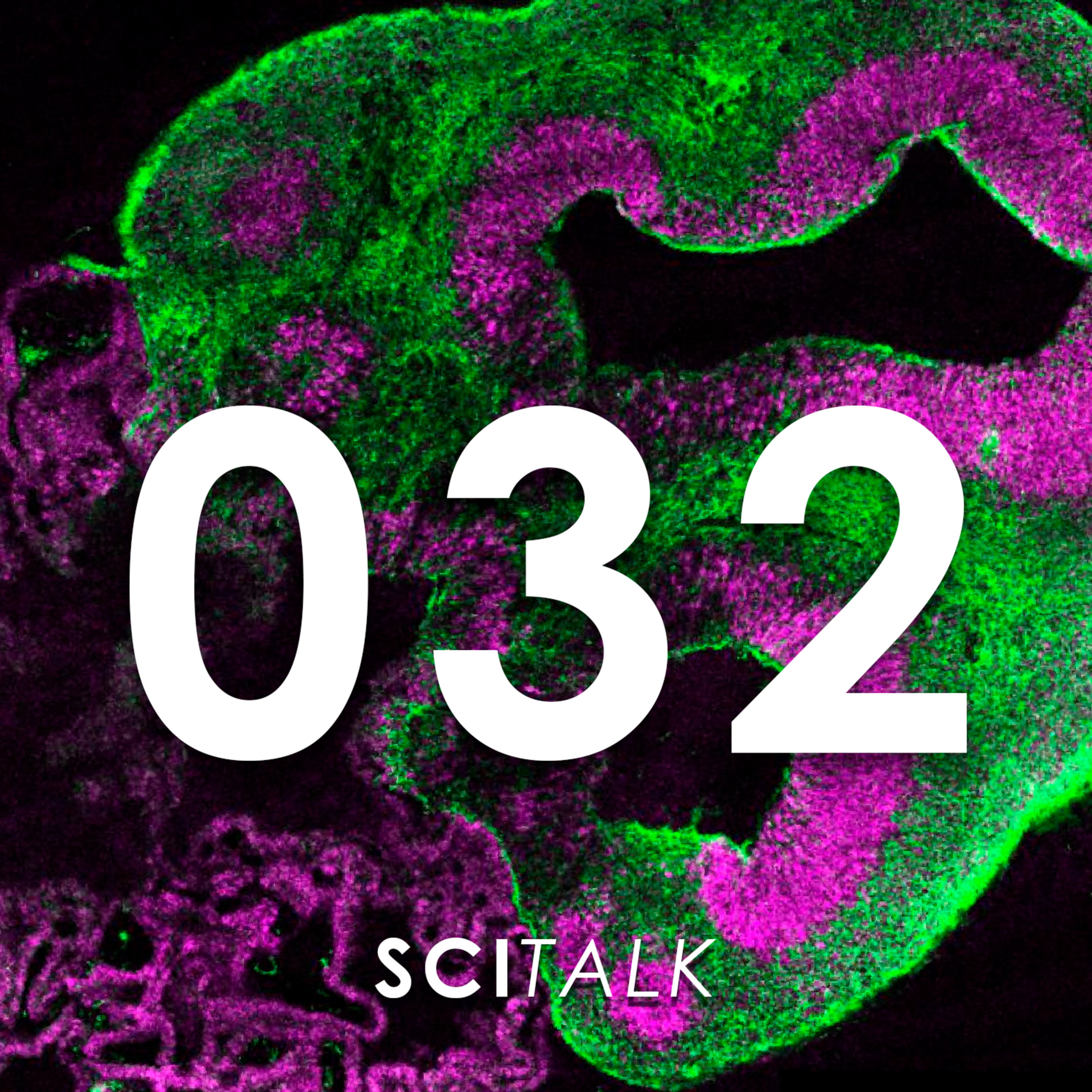 SciTalk