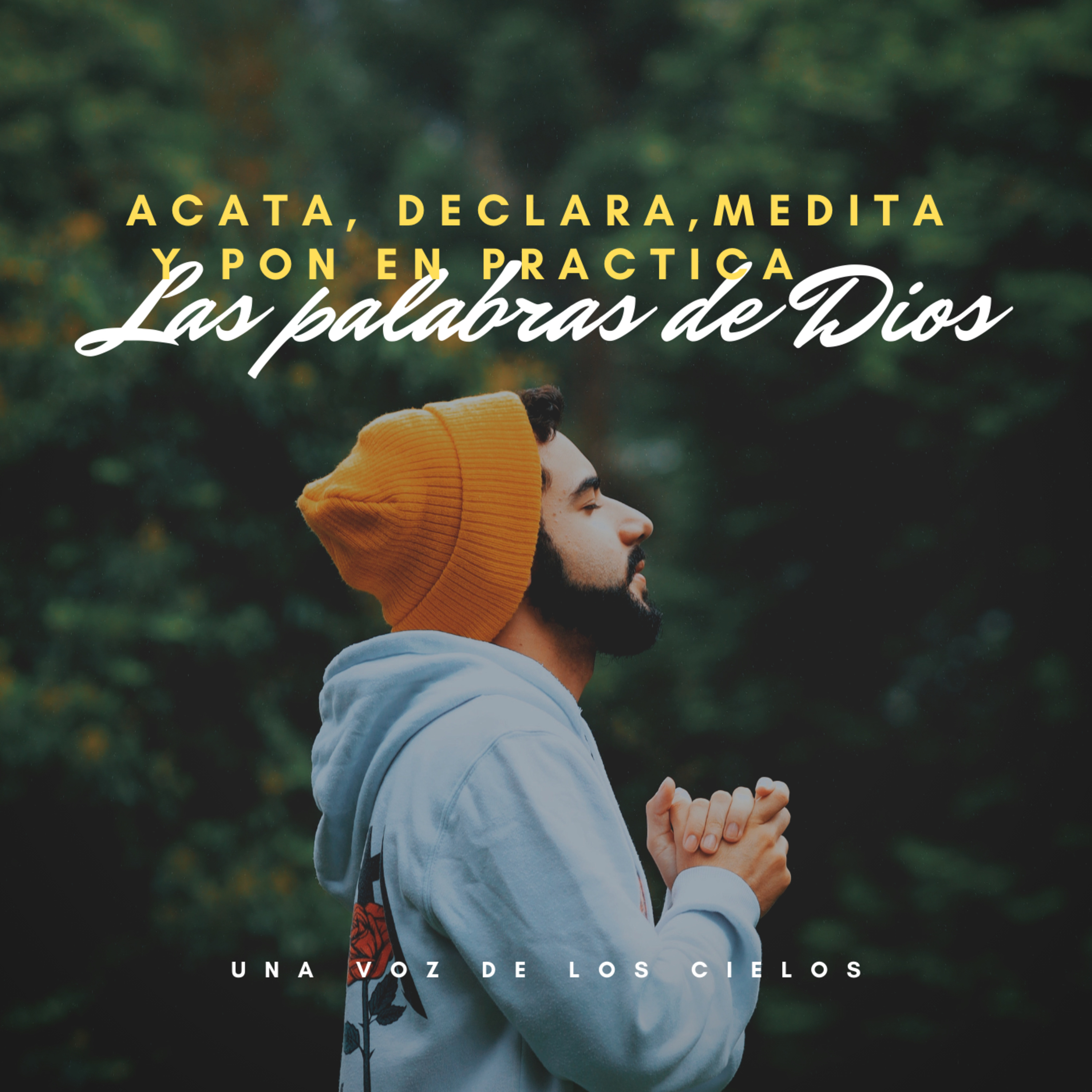 ACATA, DECLARA, MEDITA Y PON EN PRÁCTICA LAS PALABRAS DE DIOS episode artwork