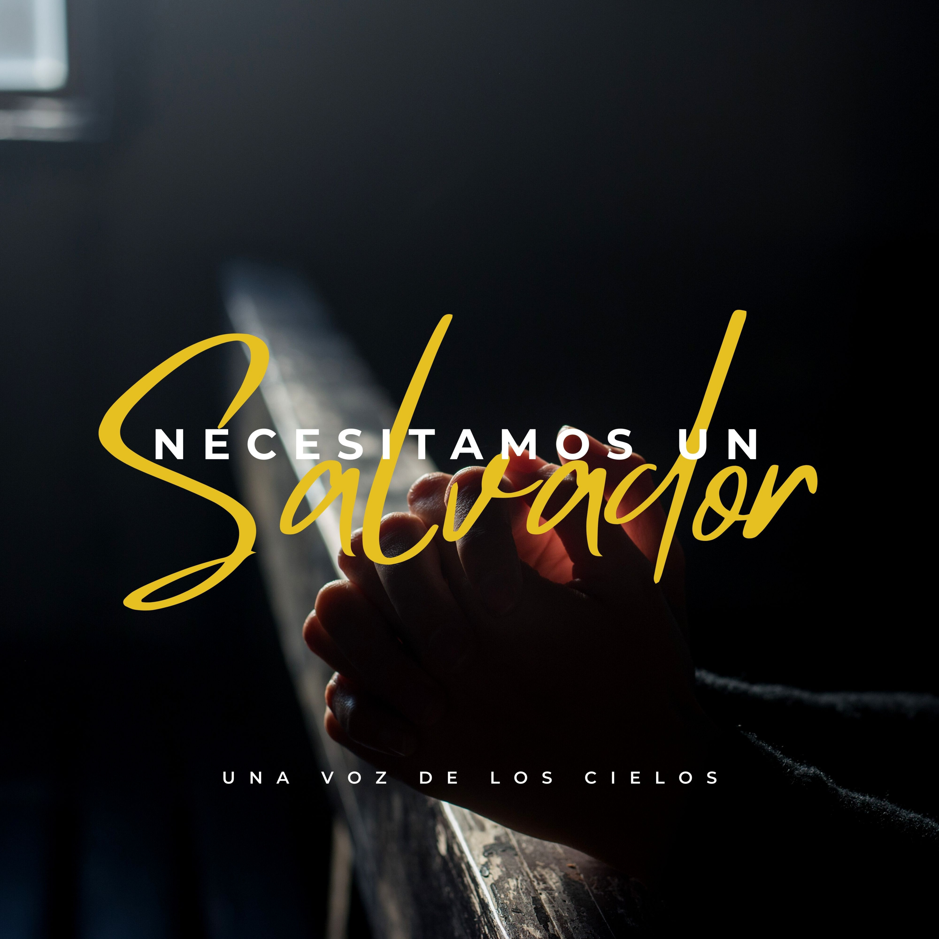 NECESITAMOS UN SALVADOR episode artwork