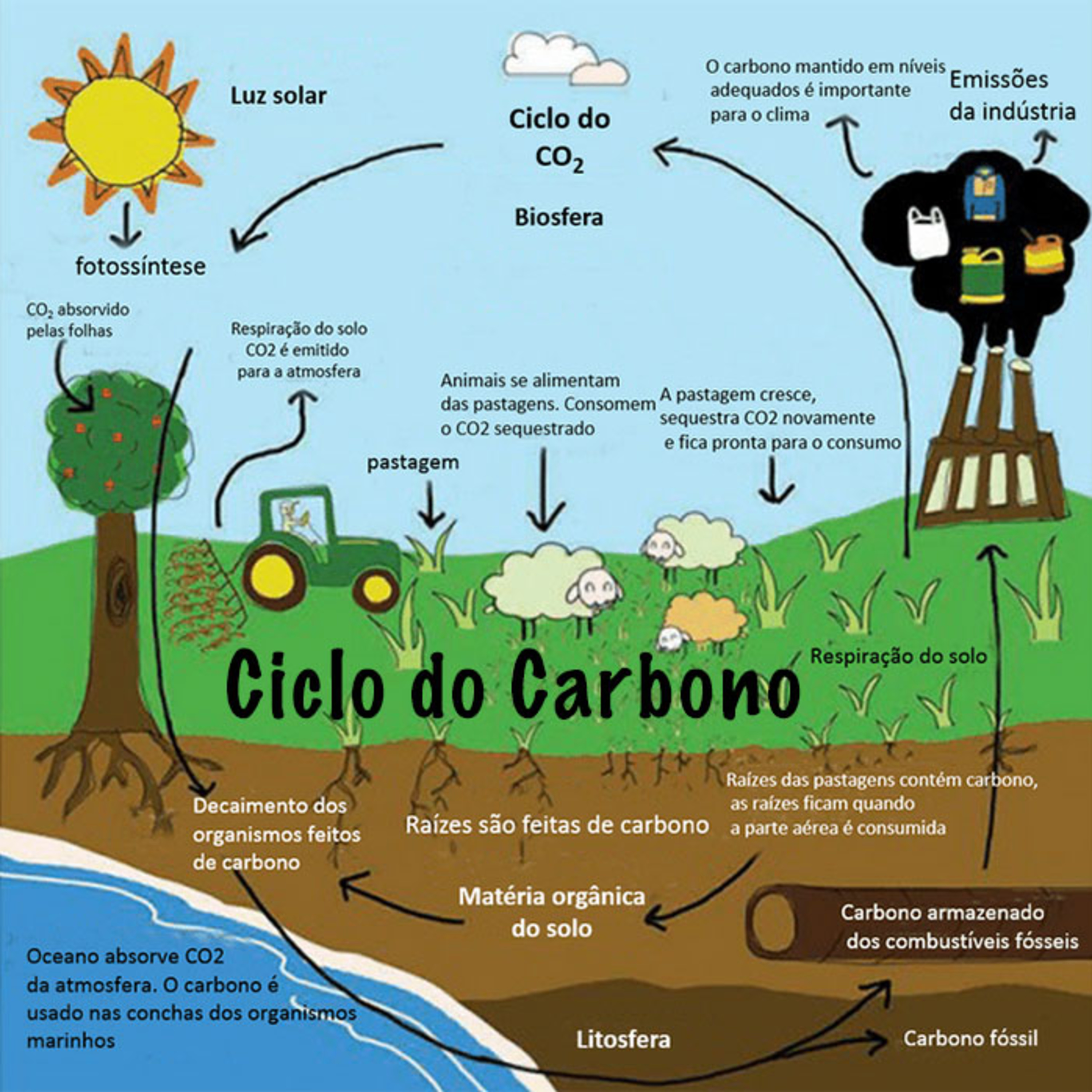 Mundo Aleatório