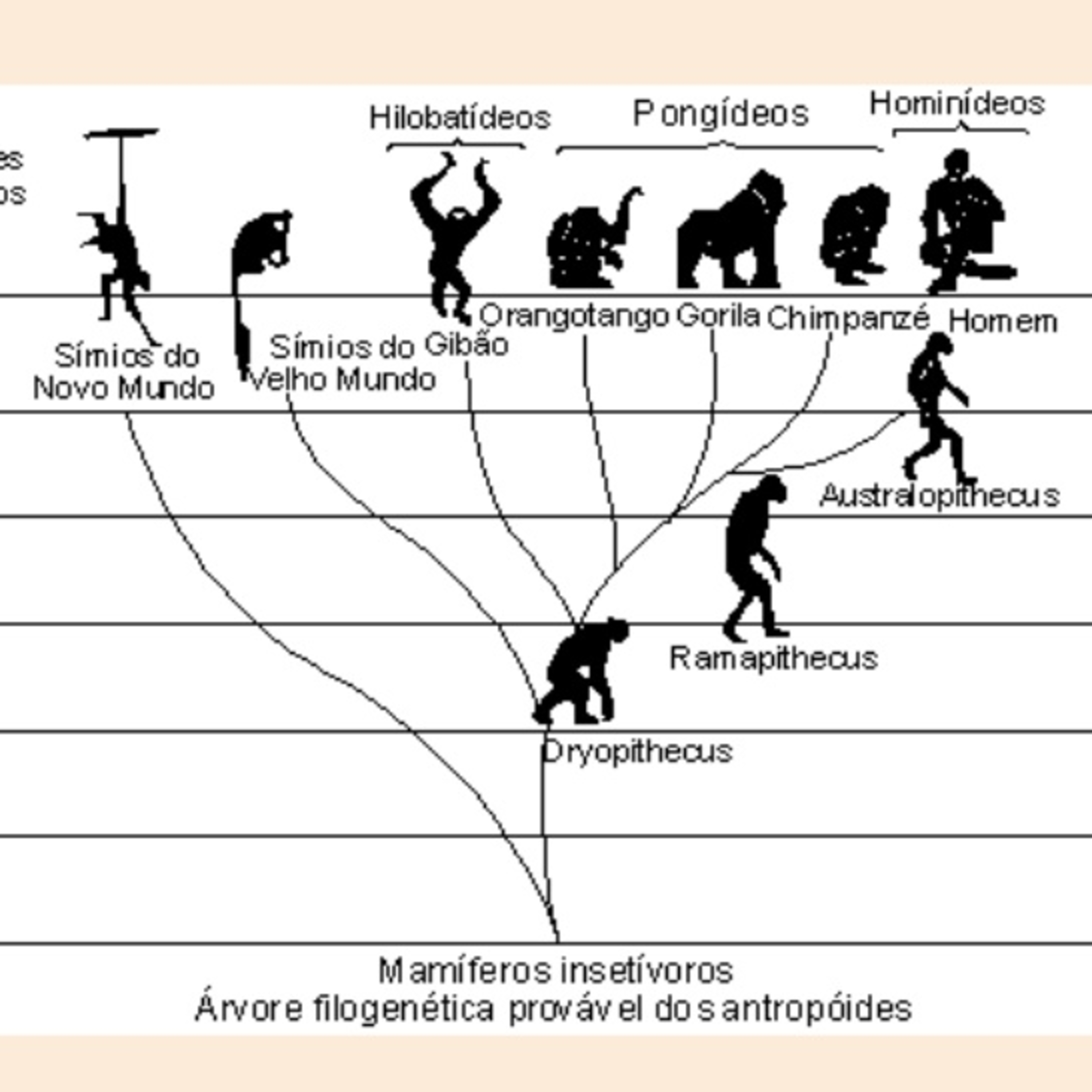 Mundo Aleatório