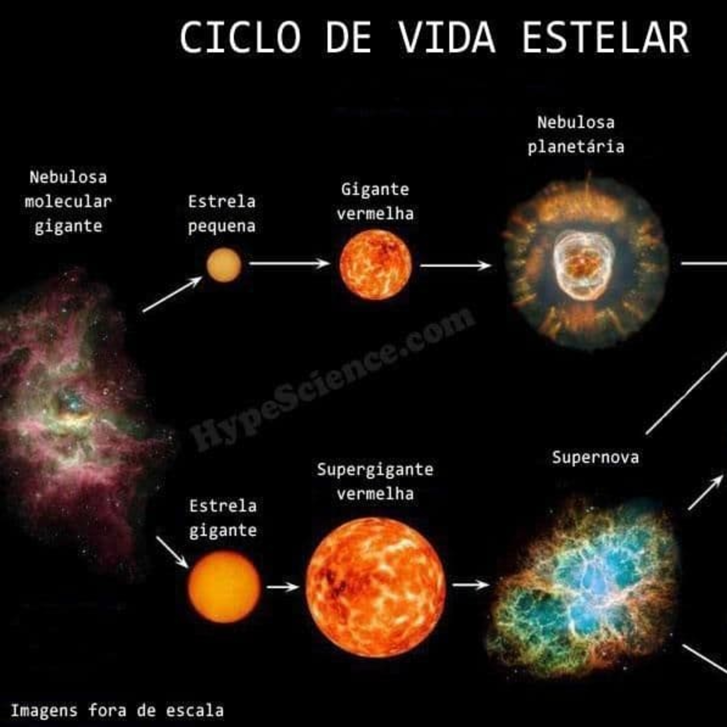 Mundo Aleatório