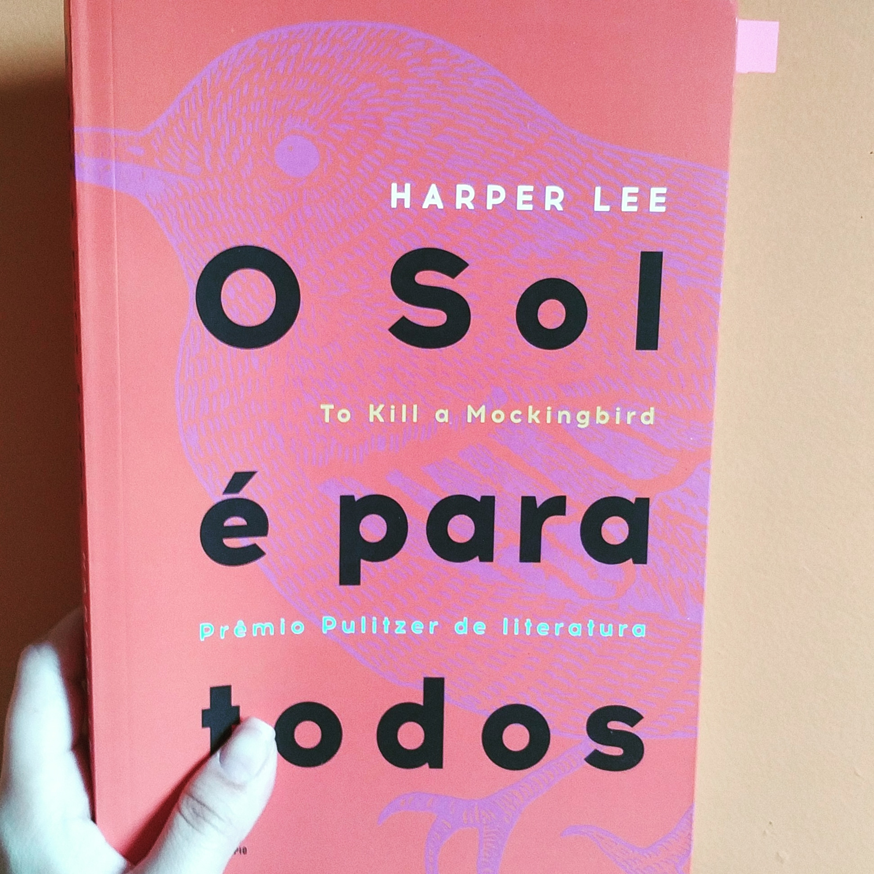 Terminei