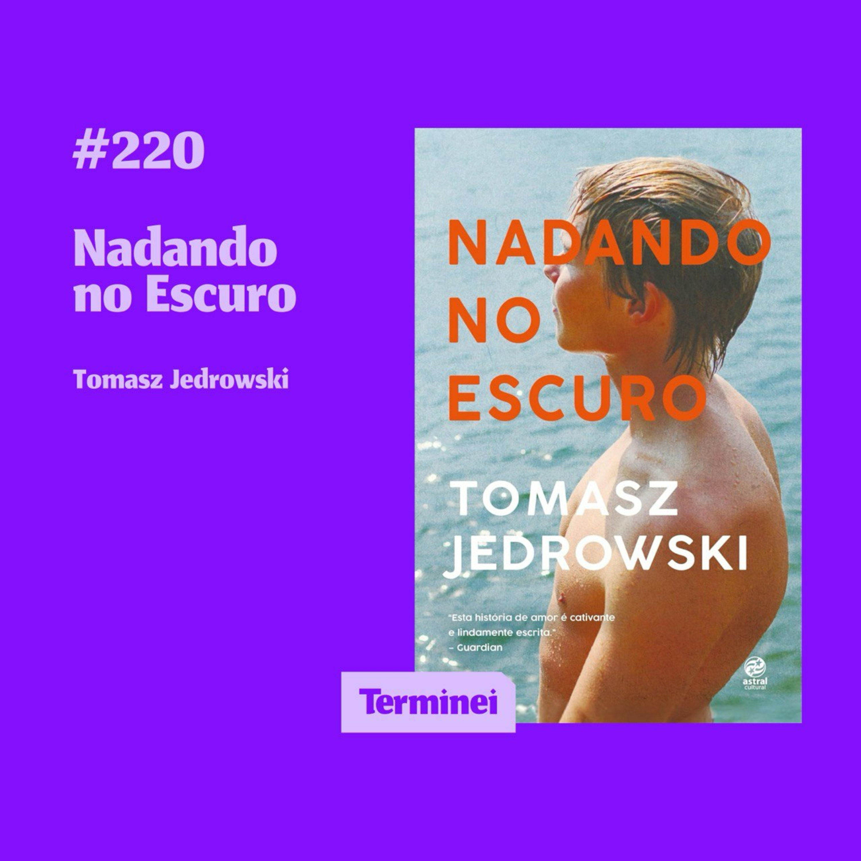 Terminei