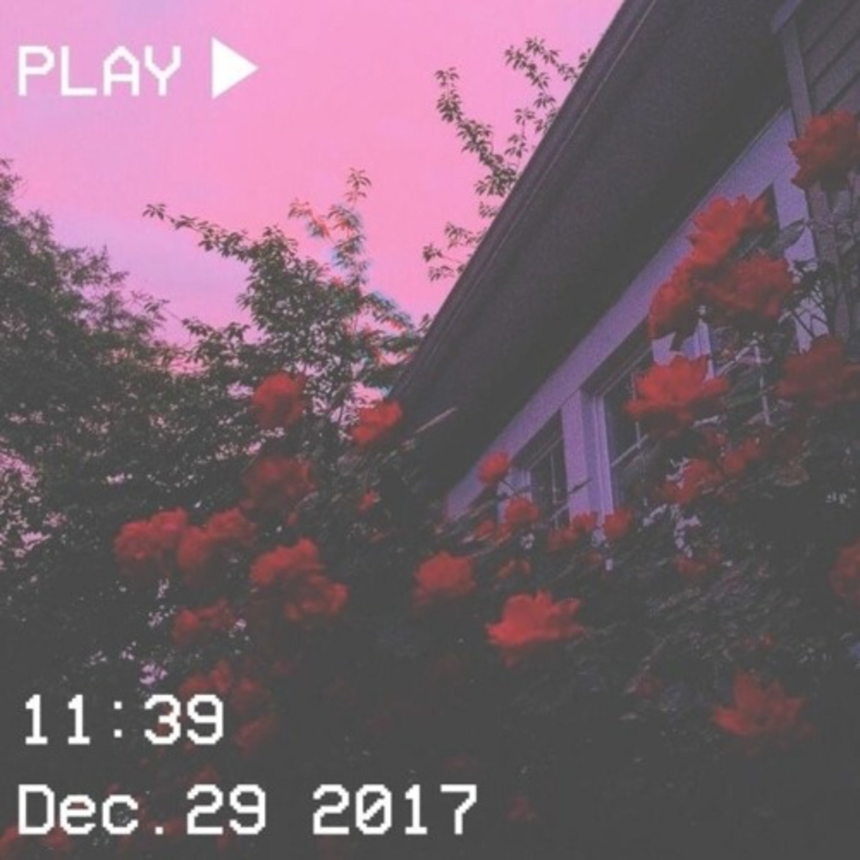 Playboi Slowed Banakula x Llusion