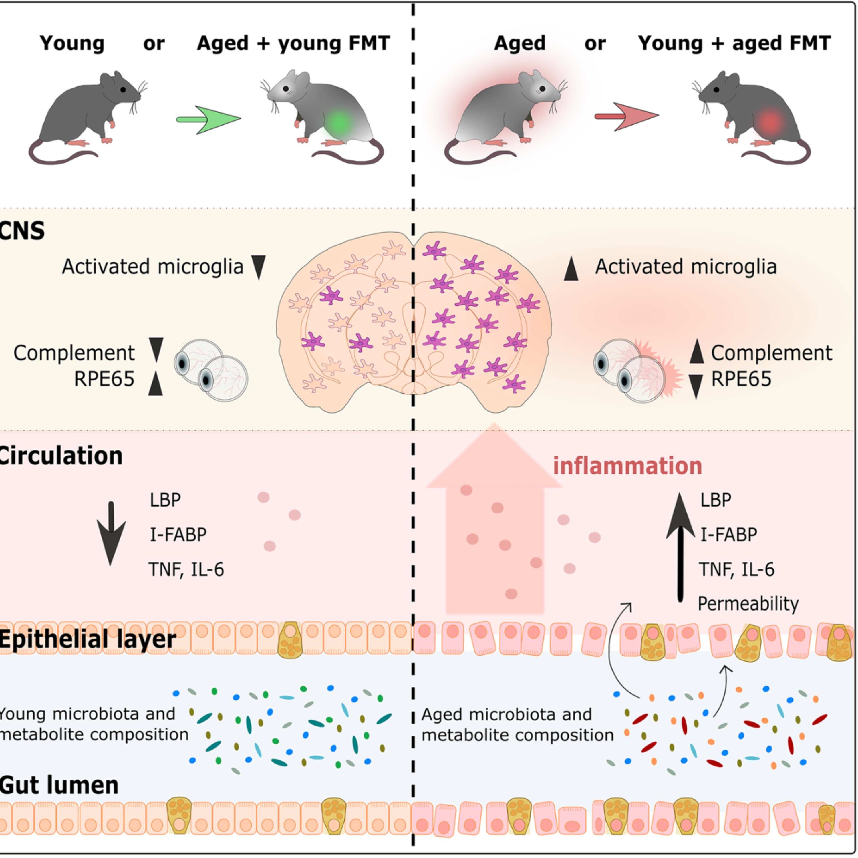 千菌万码 Microbial Matters