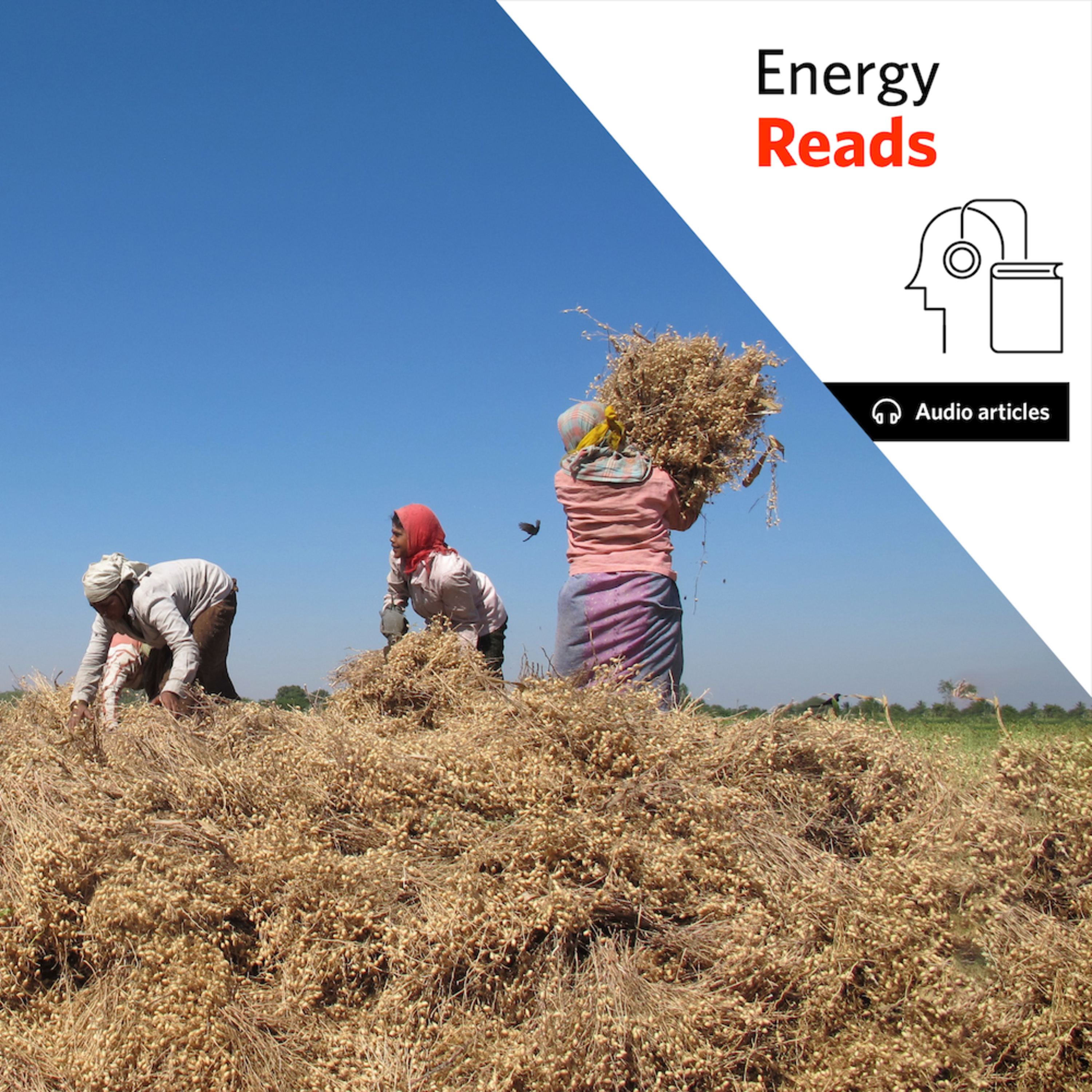 MIT: MIT spinoff Takachar processes waste biomass to reduce airborne emissions