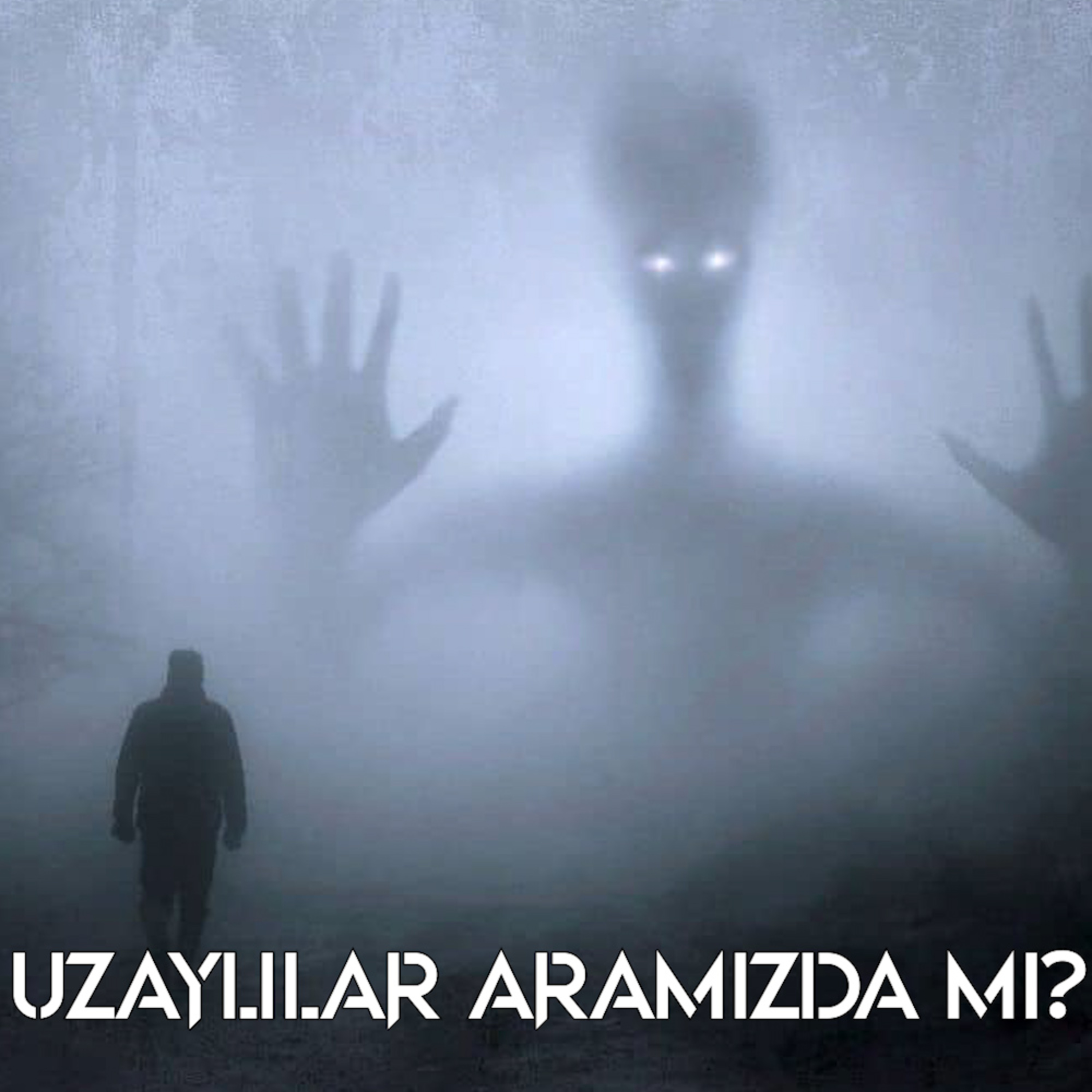 10 - Uzaylılar Dünya’yı Ziyaret Etti Mi? (Karanlık Orman) episode artwork