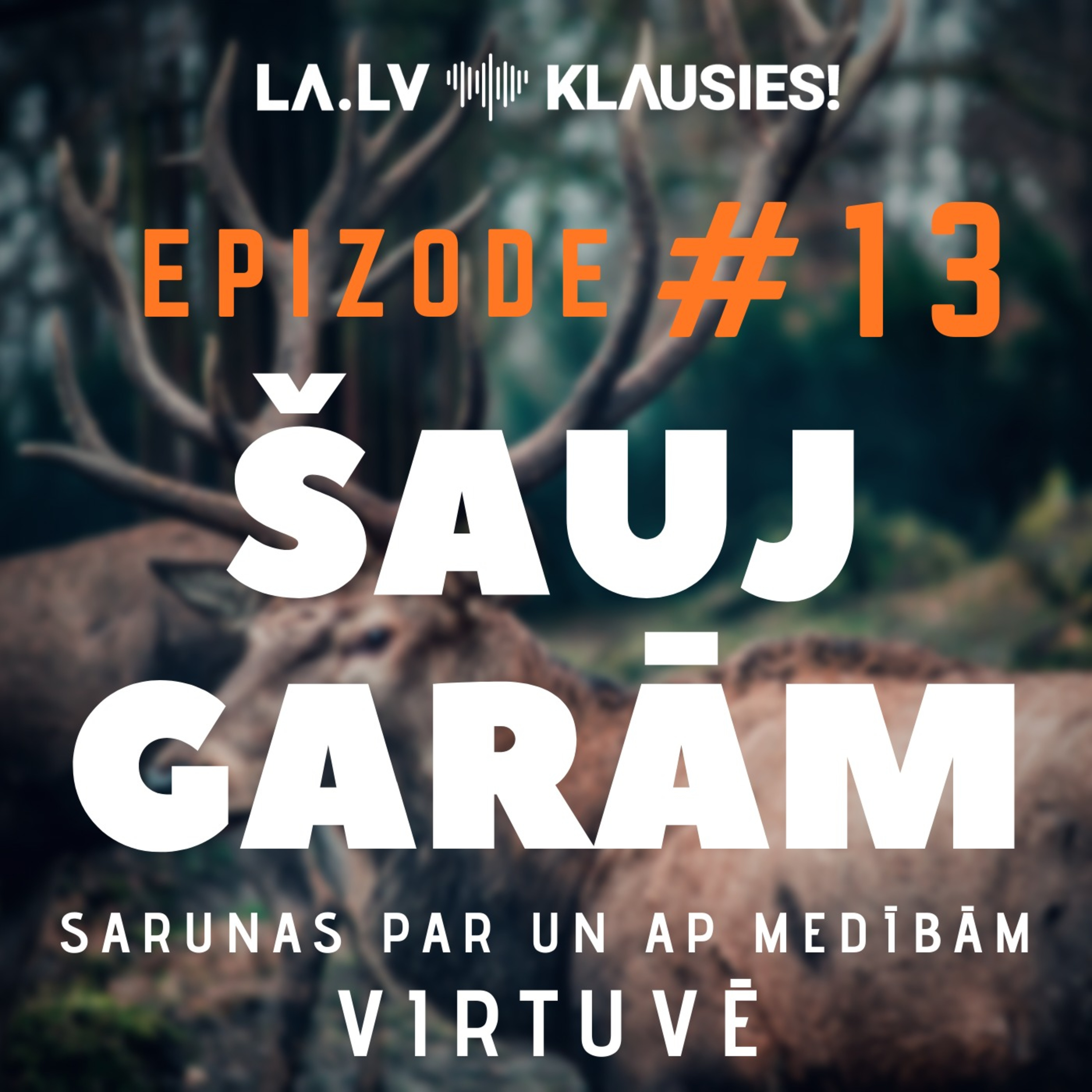 Latvijas Mediji KLAUSIES!