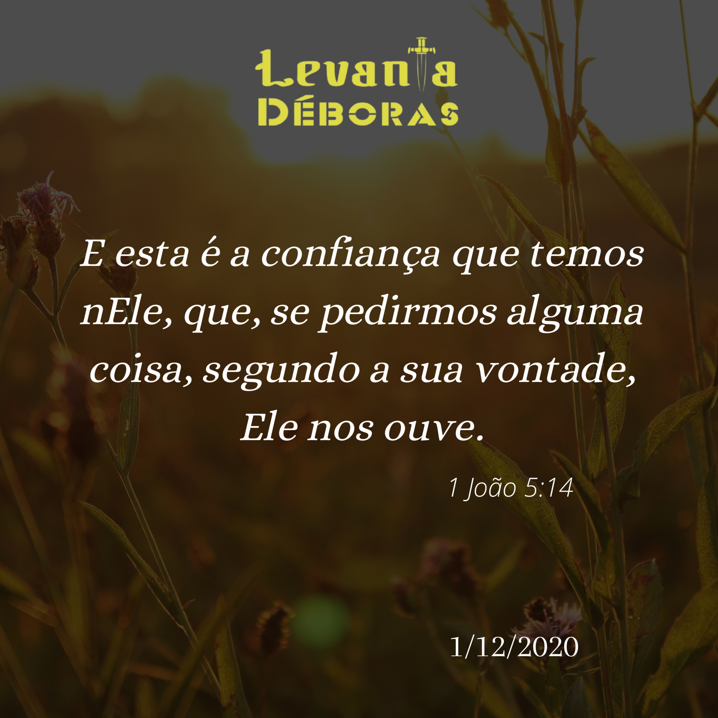Rede De Mulheres Protegidas