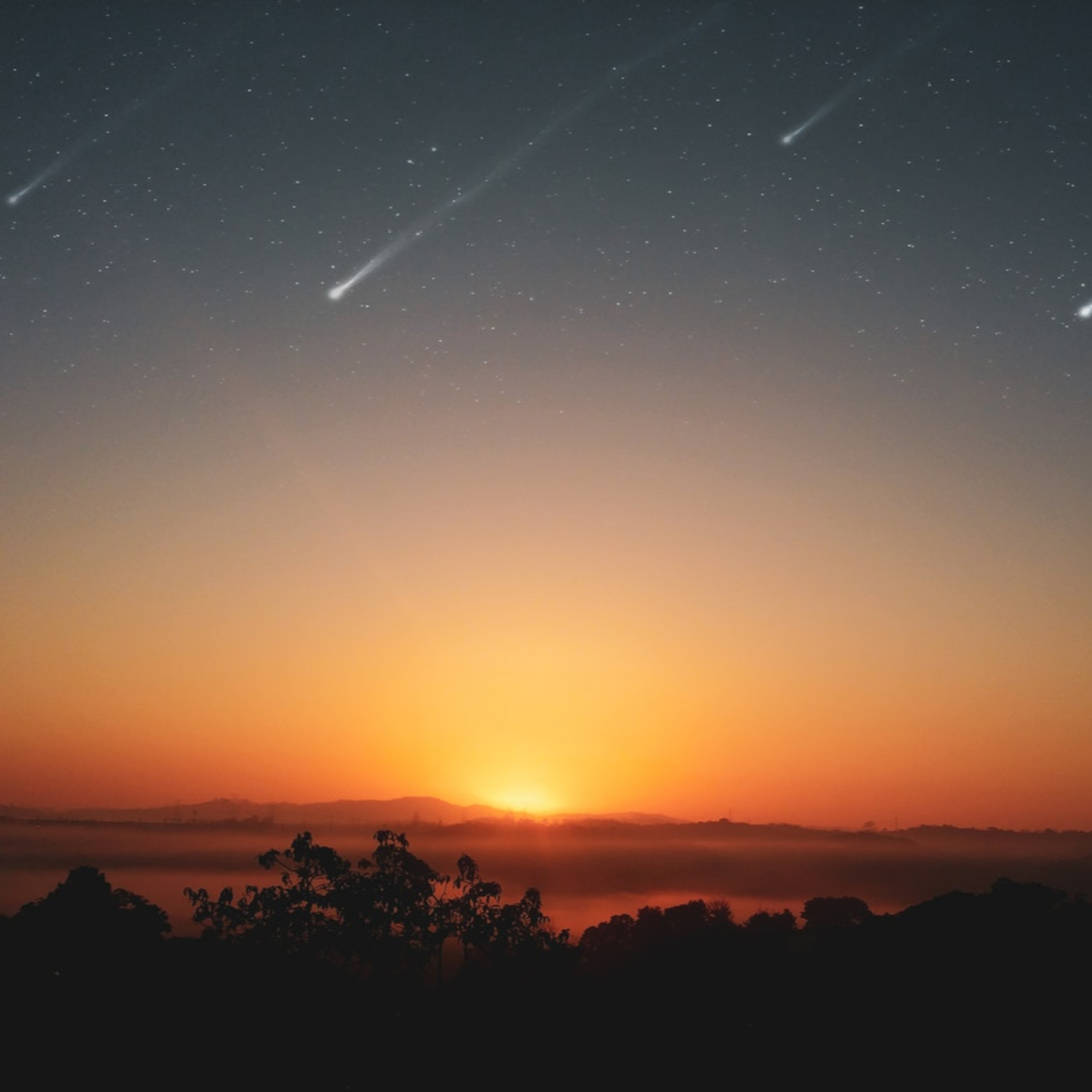 Conversations over coffee and under shooting stars
