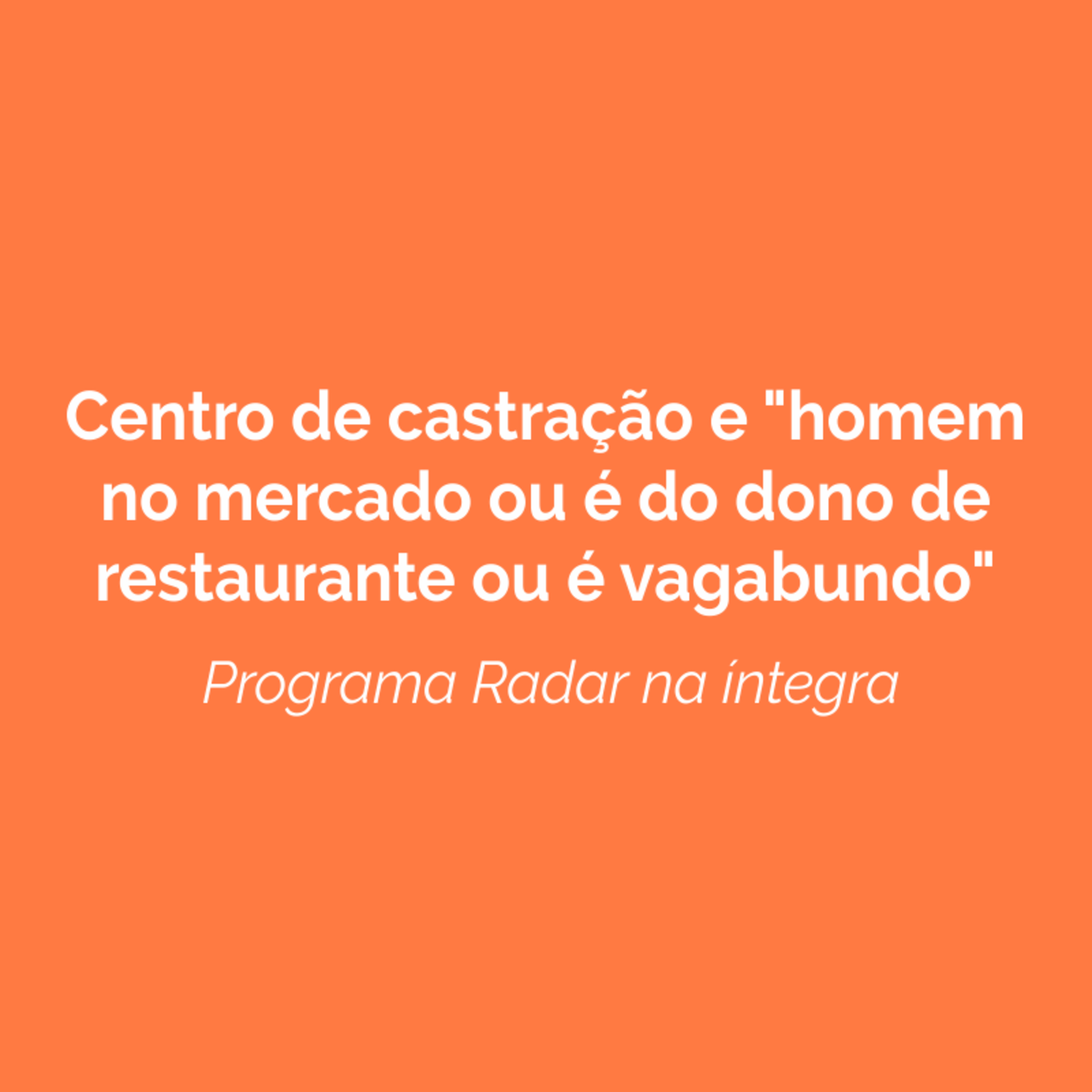 Programa Radar