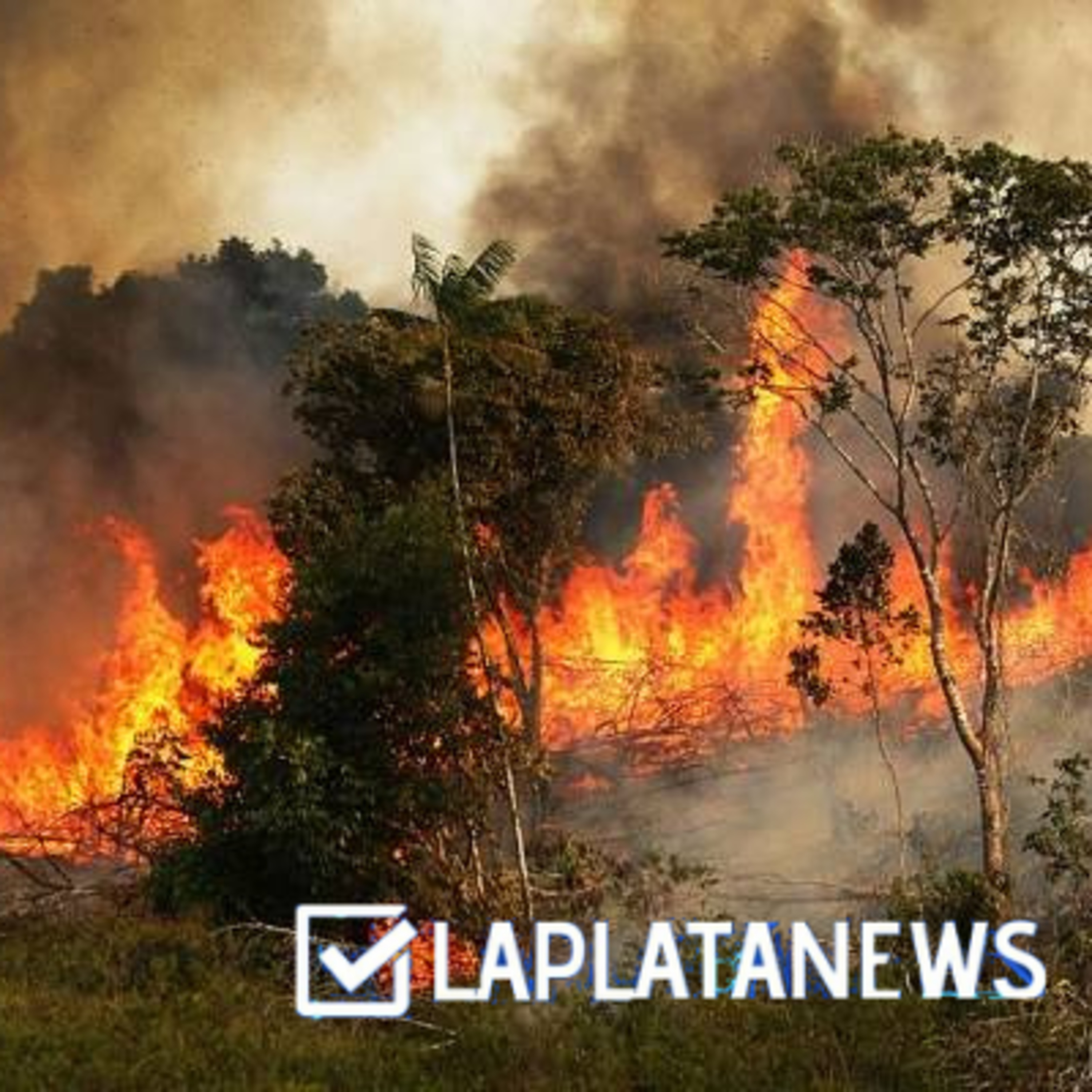 El incendio en el Amazonas