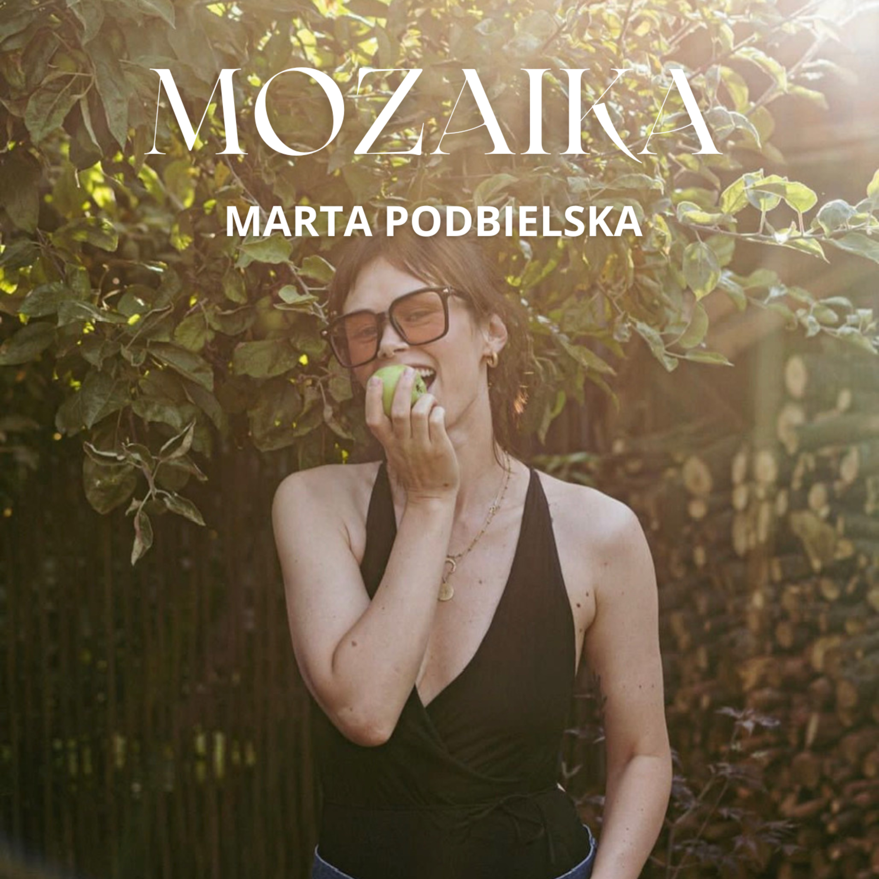 Mozaika