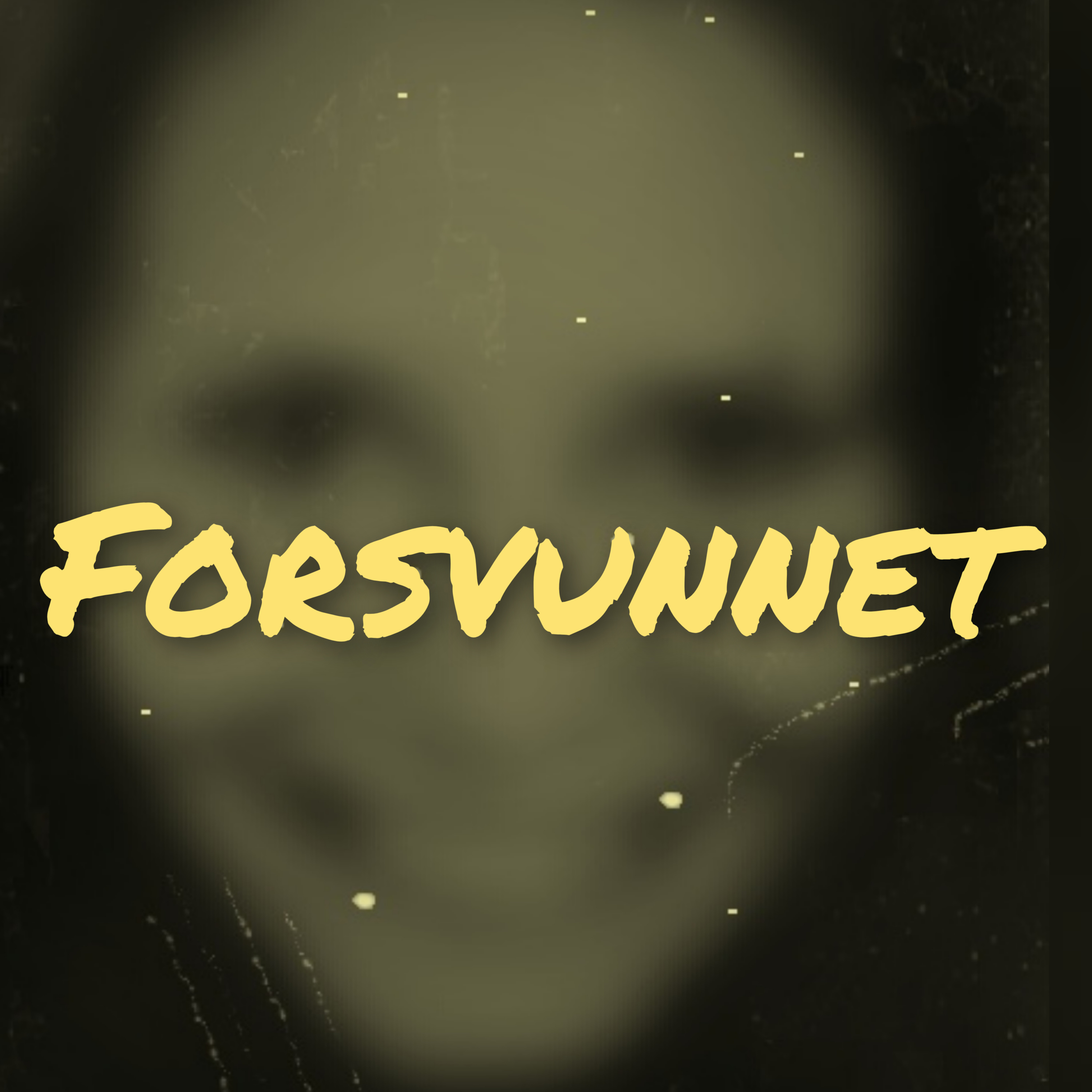 FORSVUNNET- kommer snart