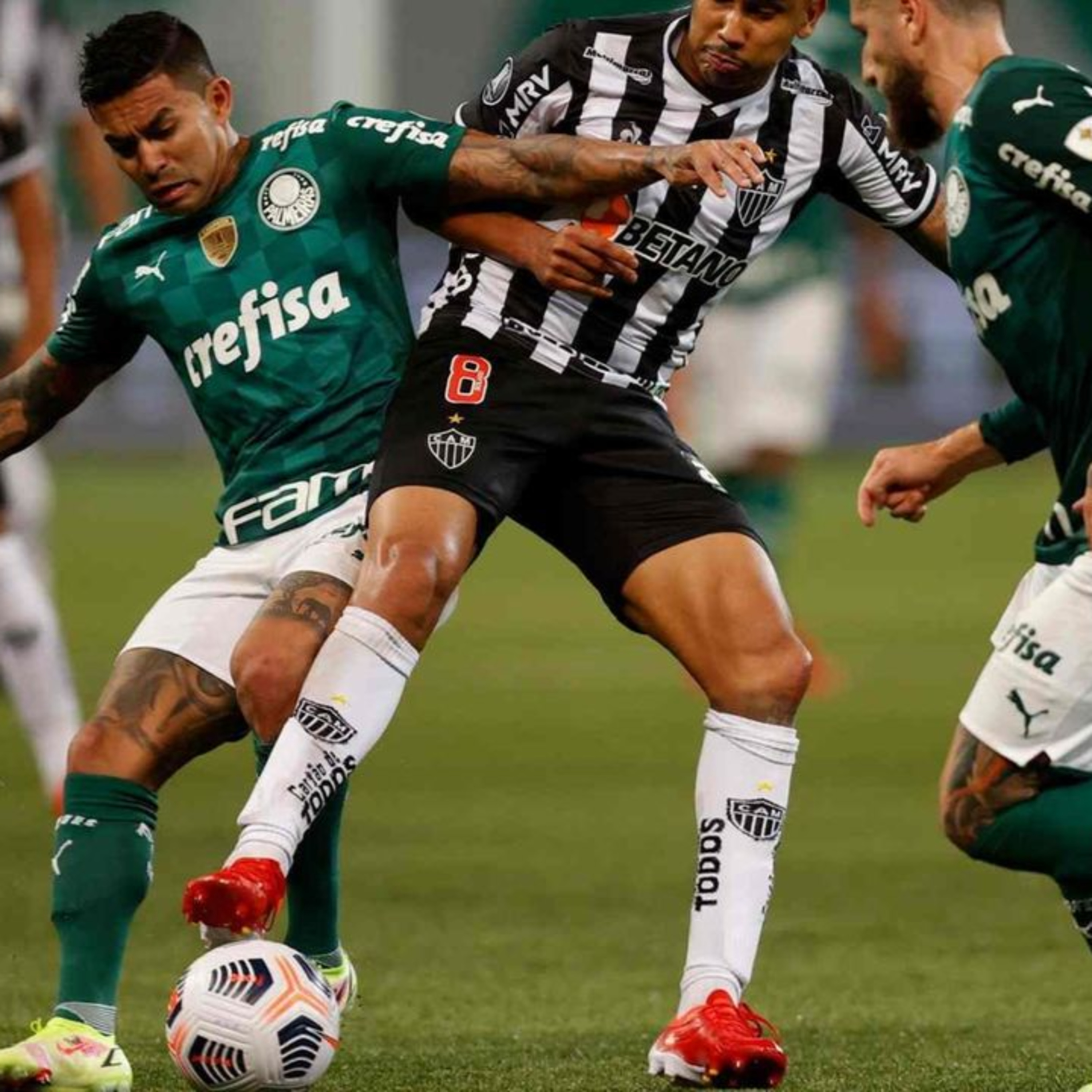 Palmeiras se classifica para final da Copa Libertadores da América episode artwork