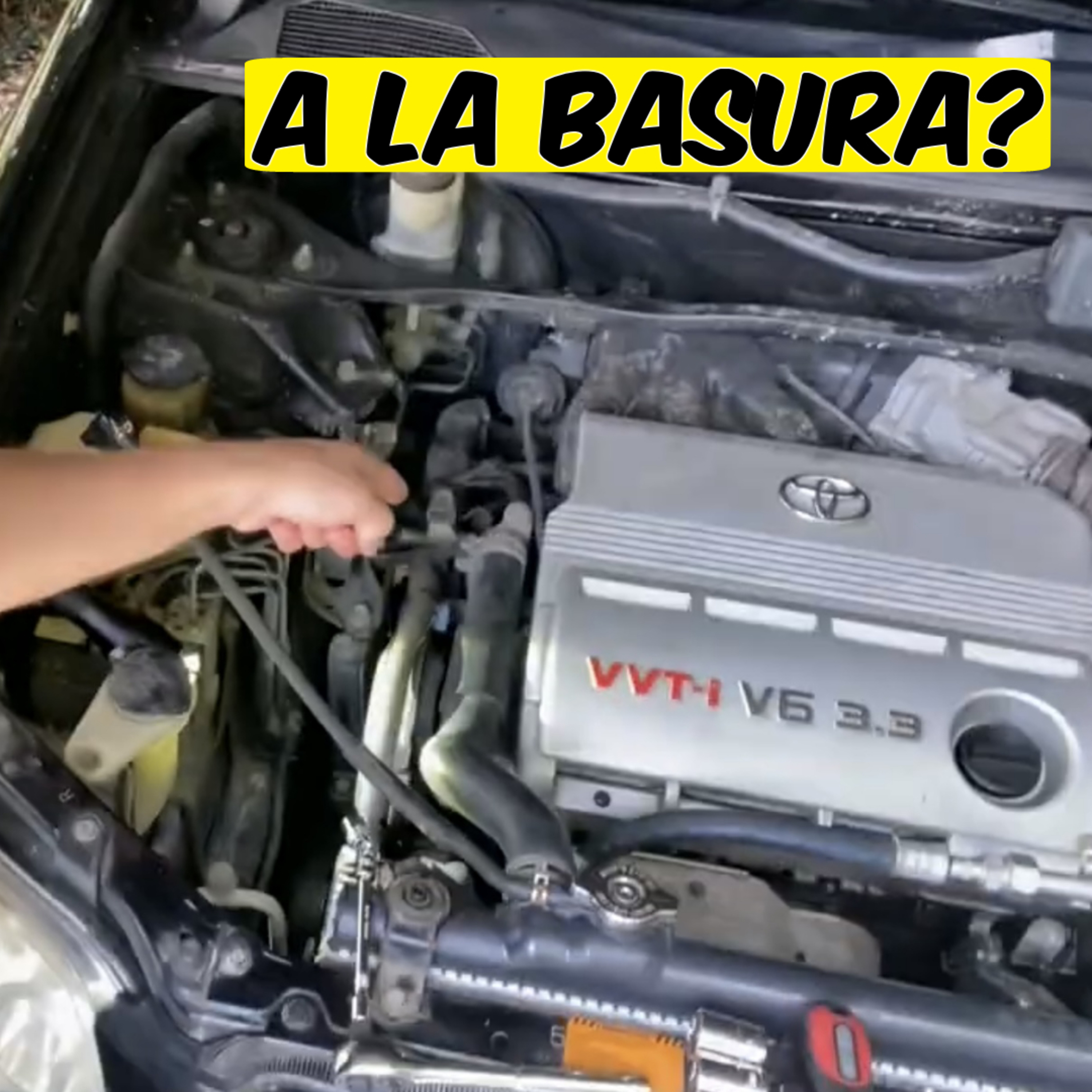 cover of episode aqui en australia nadie arregla NADA!! | E95