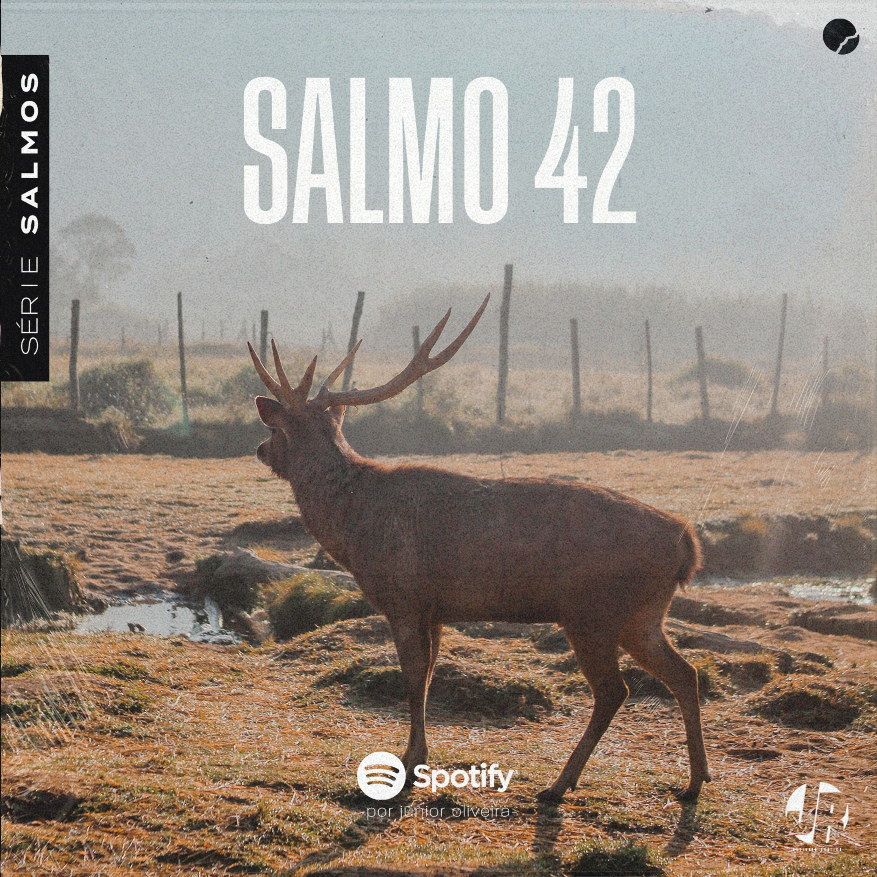 Salmo 42 episode artwork