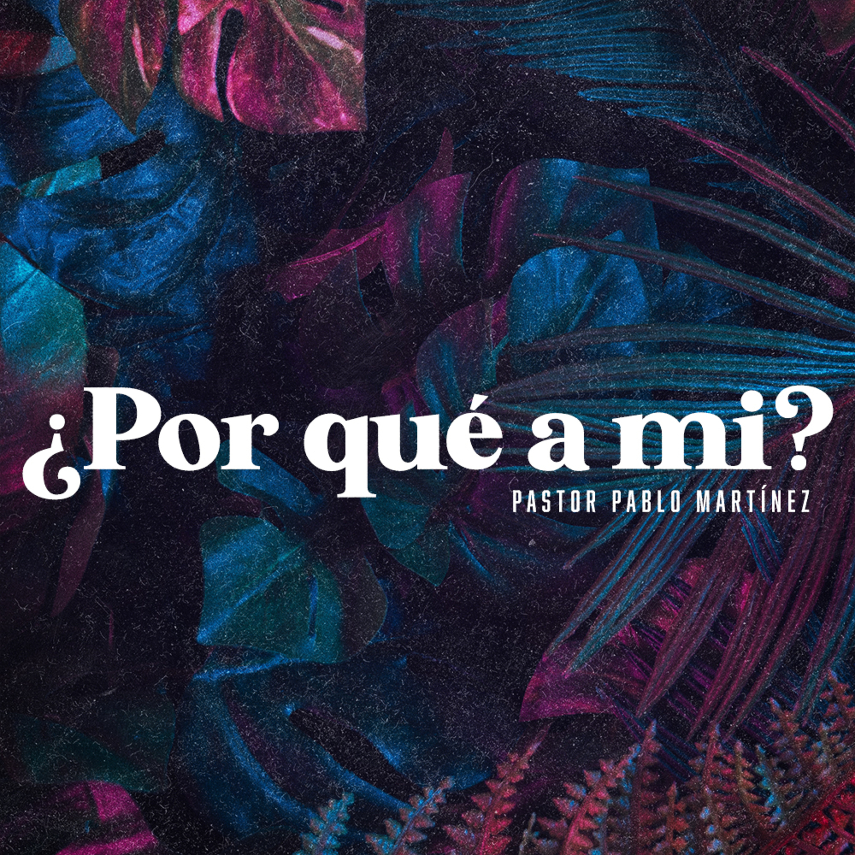 La vida de Job episode artwork