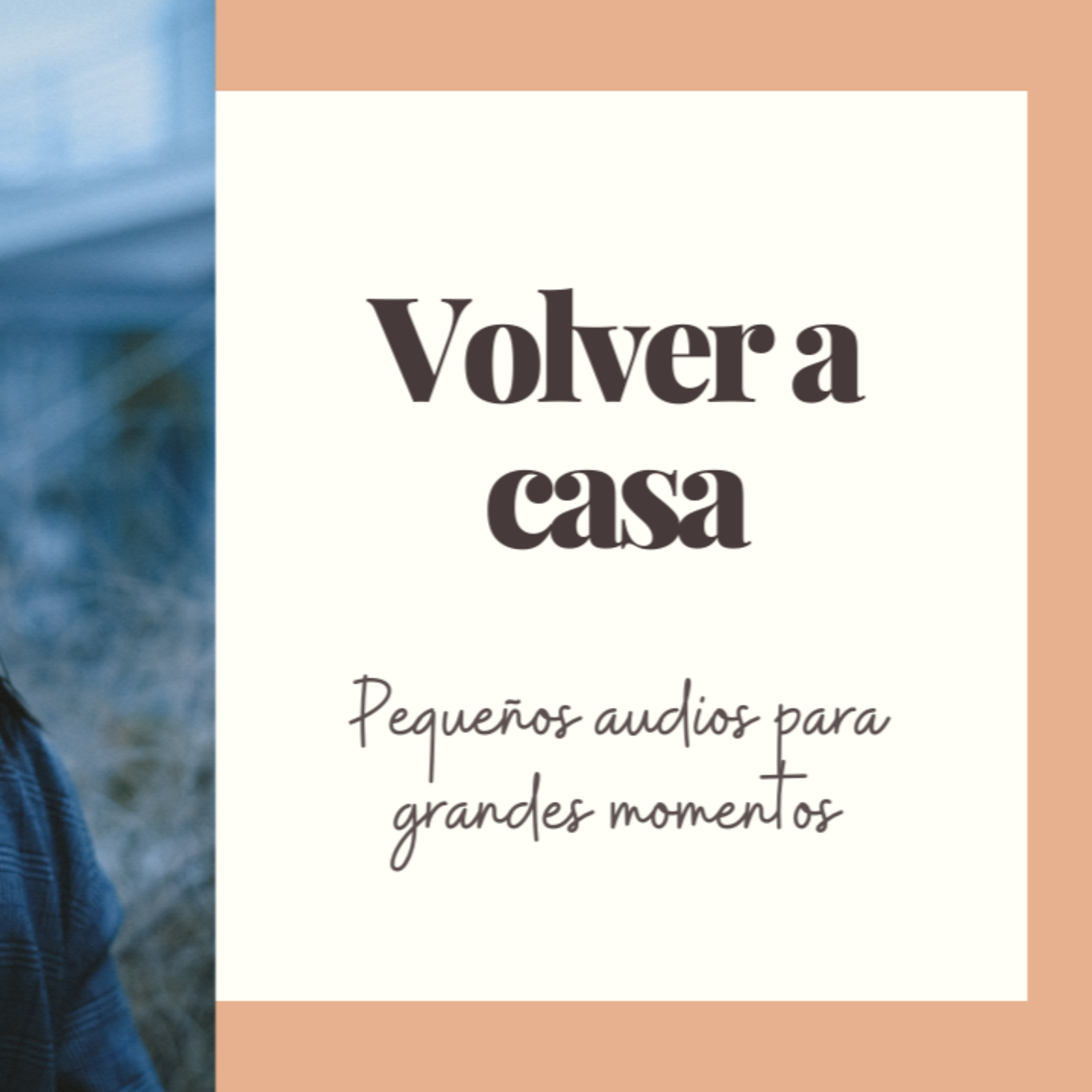 Introvisionarias
