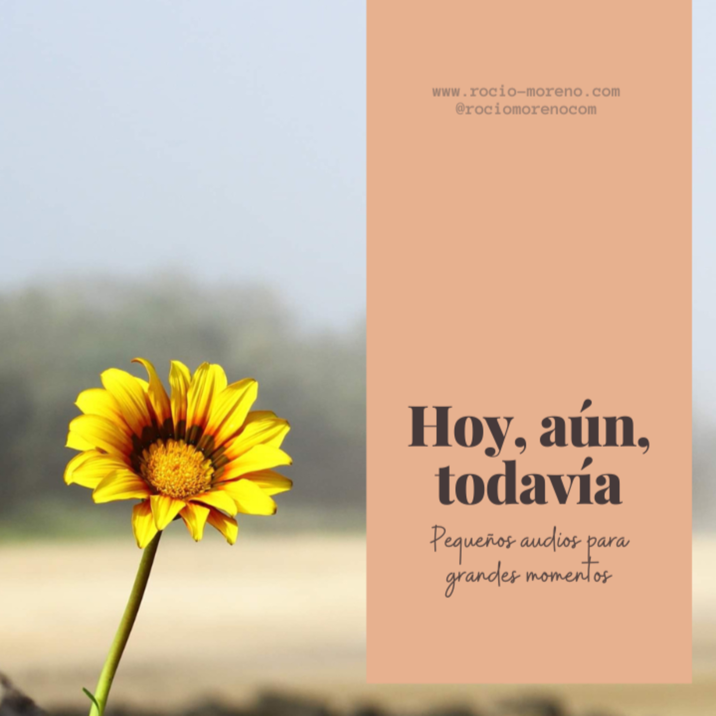 Introvisionarias