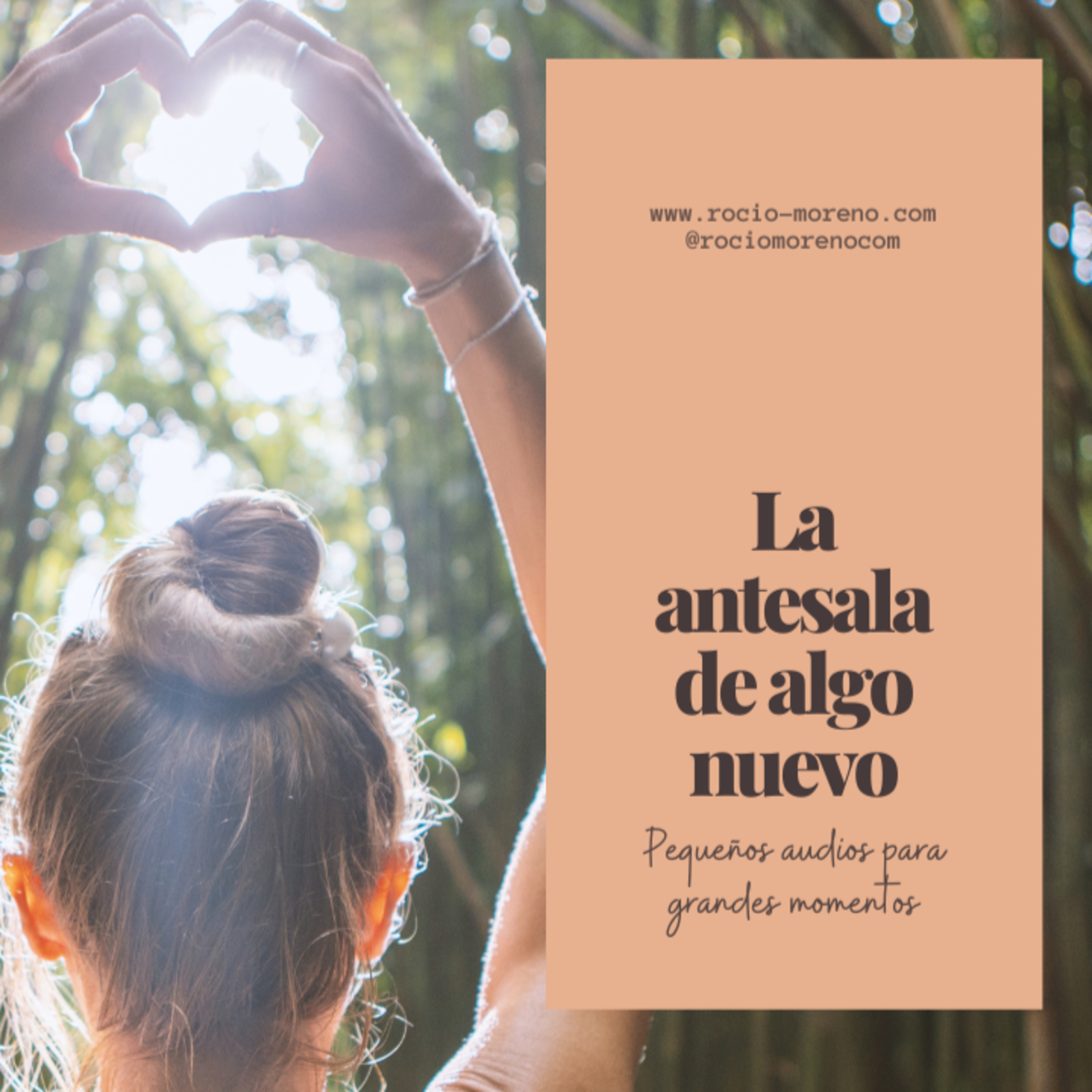 Introvisionarias