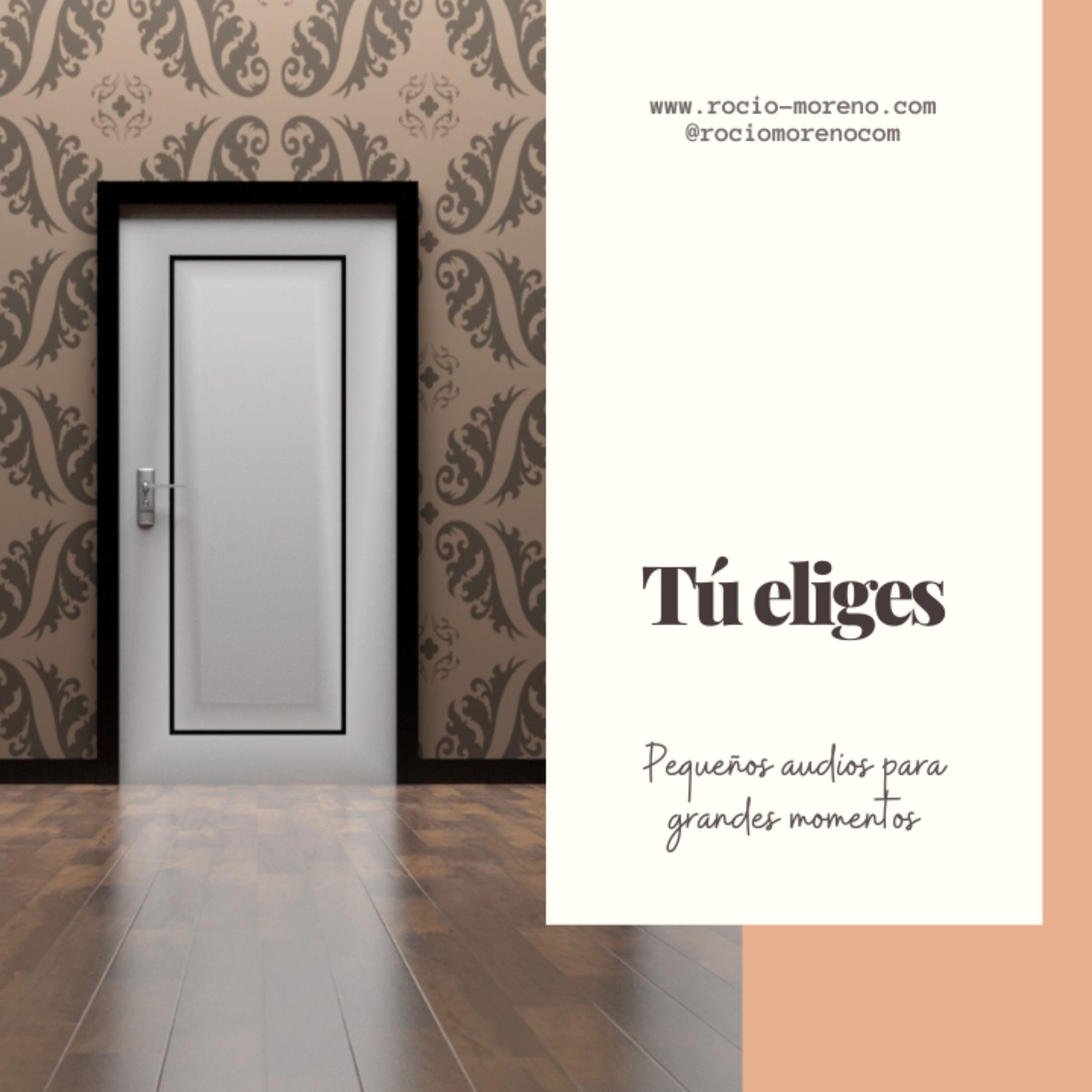 Introvisionarias