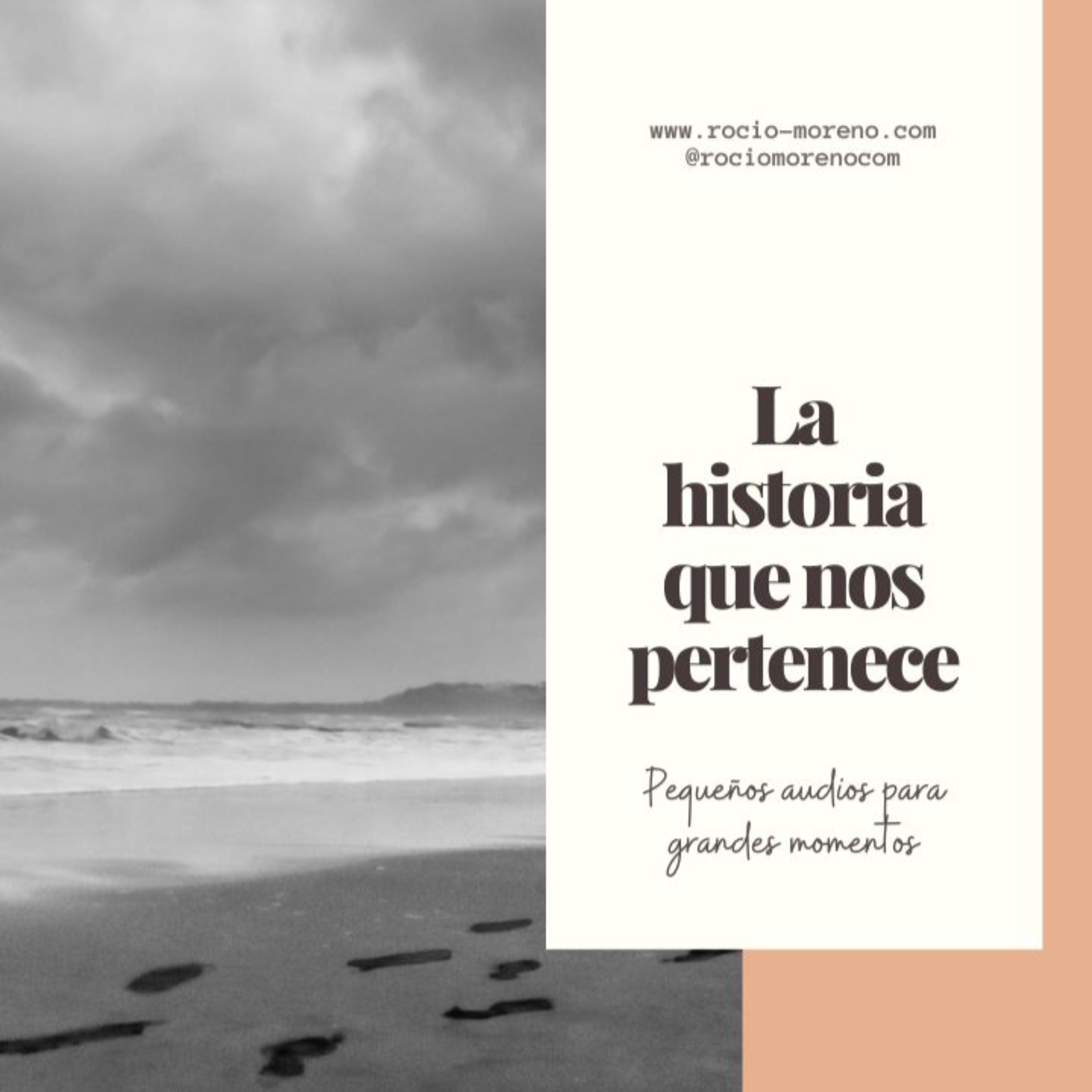 Introvisionarias