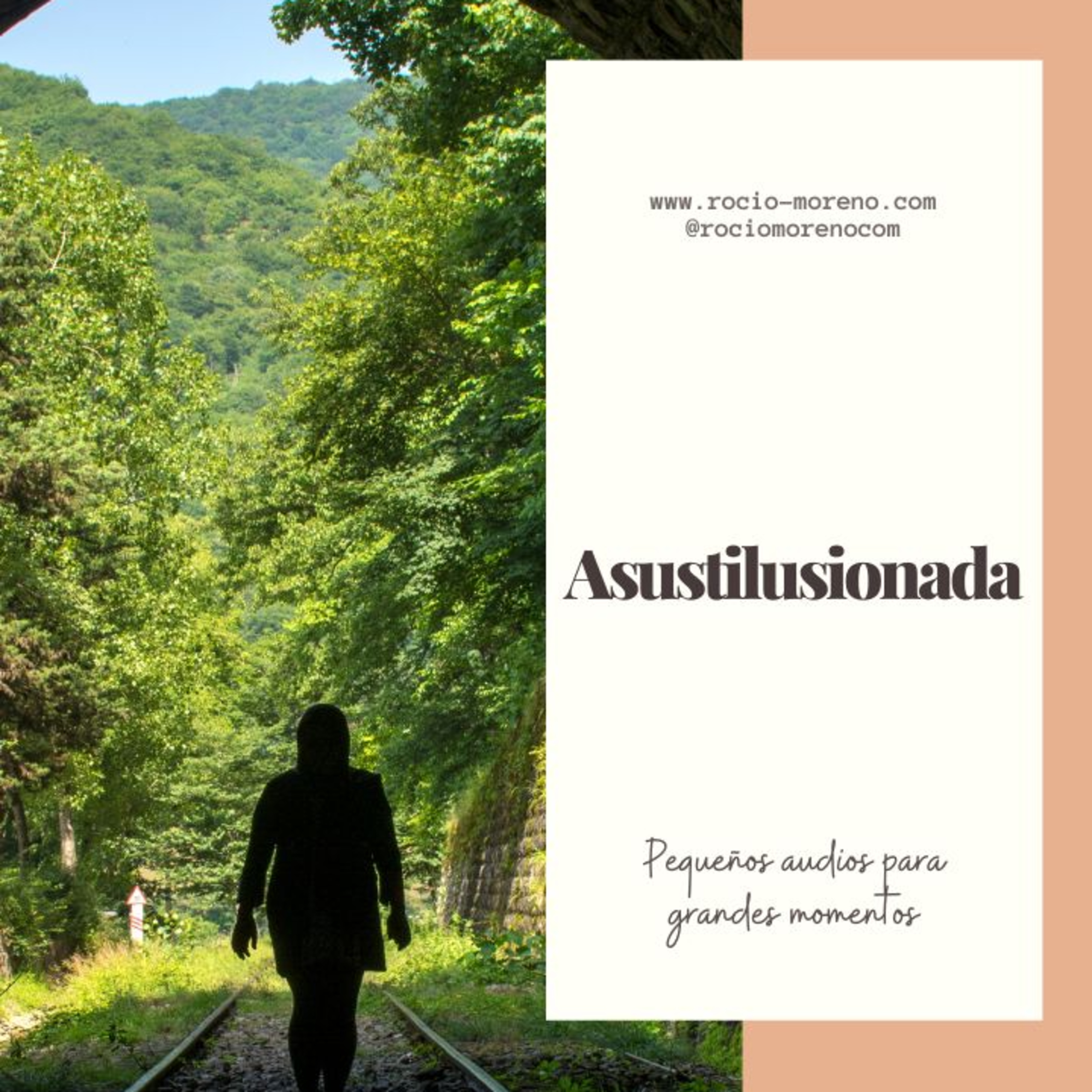 Introvisionarias