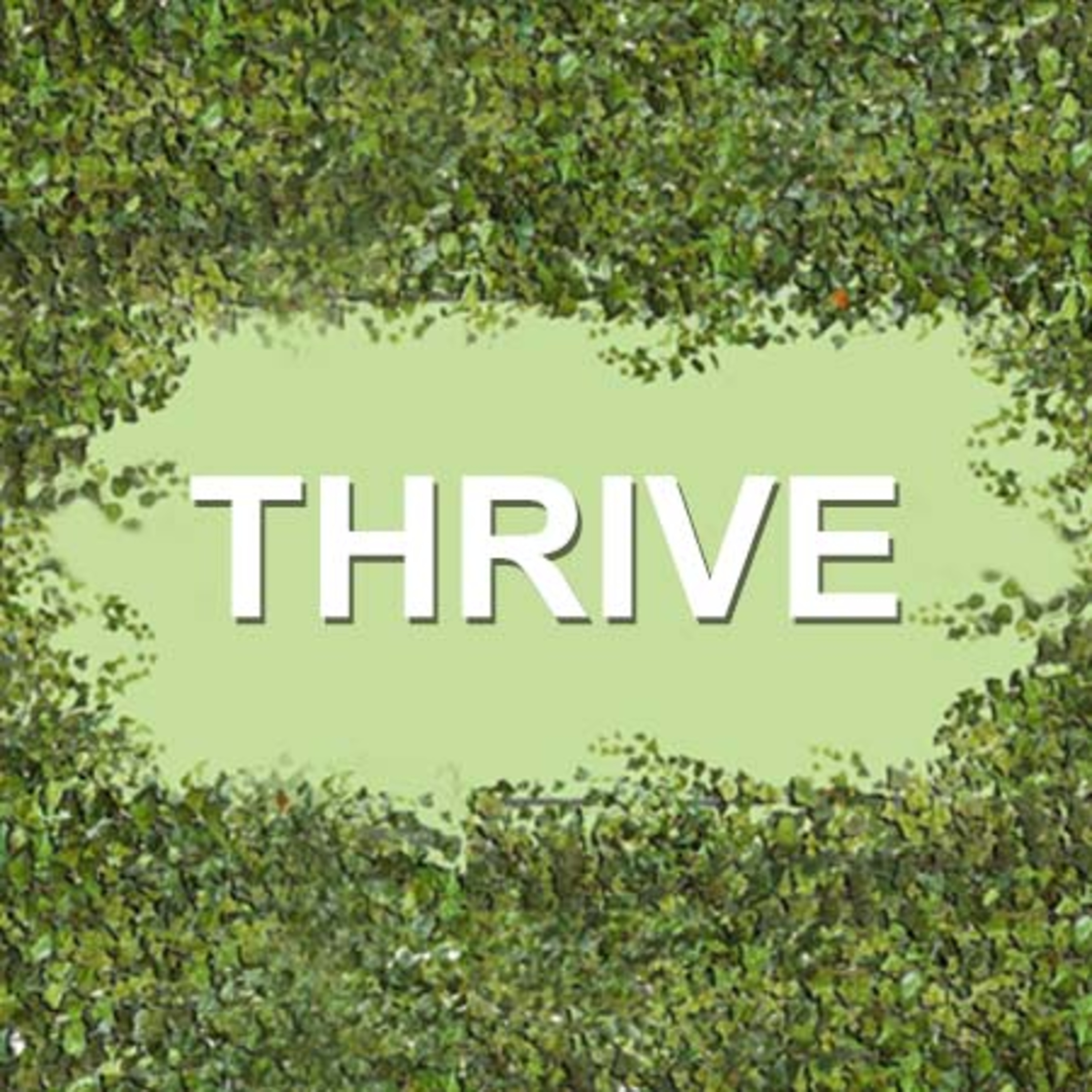 Thriving Attitude episode artwork