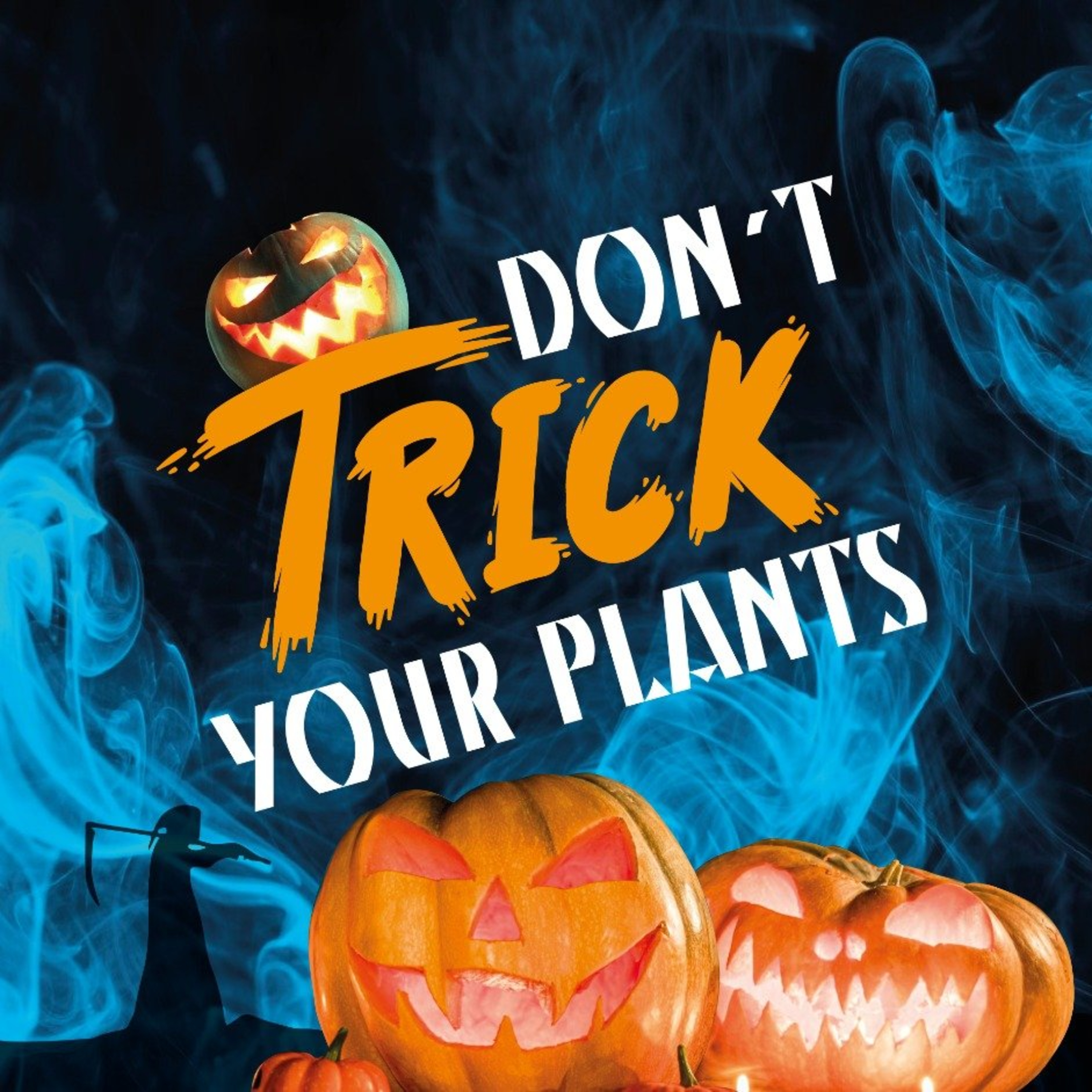 ARTi Wishes You a Happy Halloween 2022! Biochar and the Creepy Crawlies Love Your Fall Garden Soil episode artwork