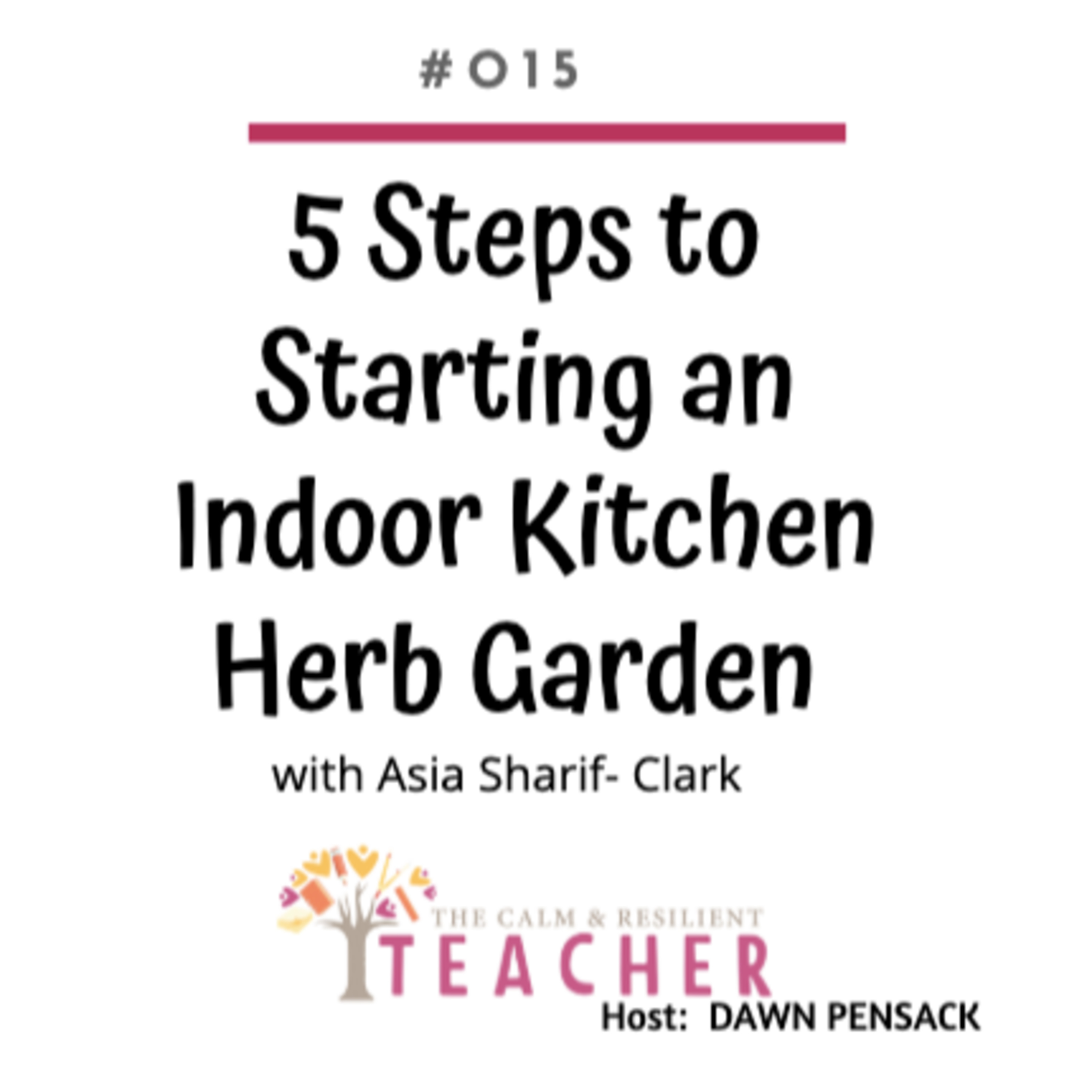 The Calm & Resilient Teacher