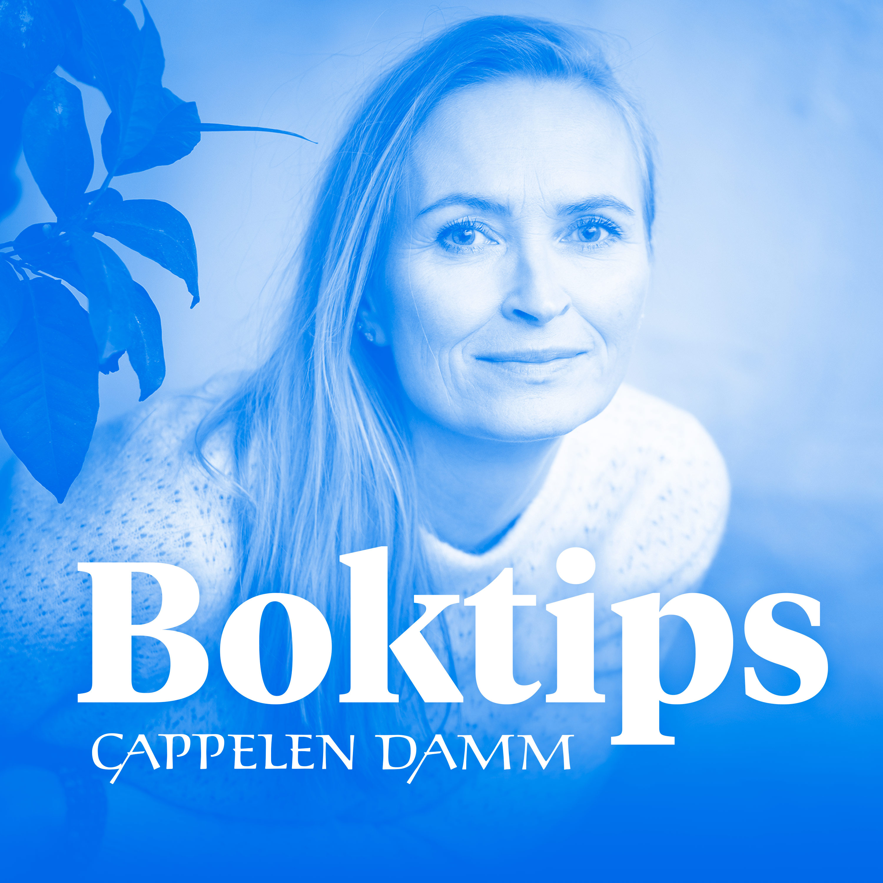 Boktips