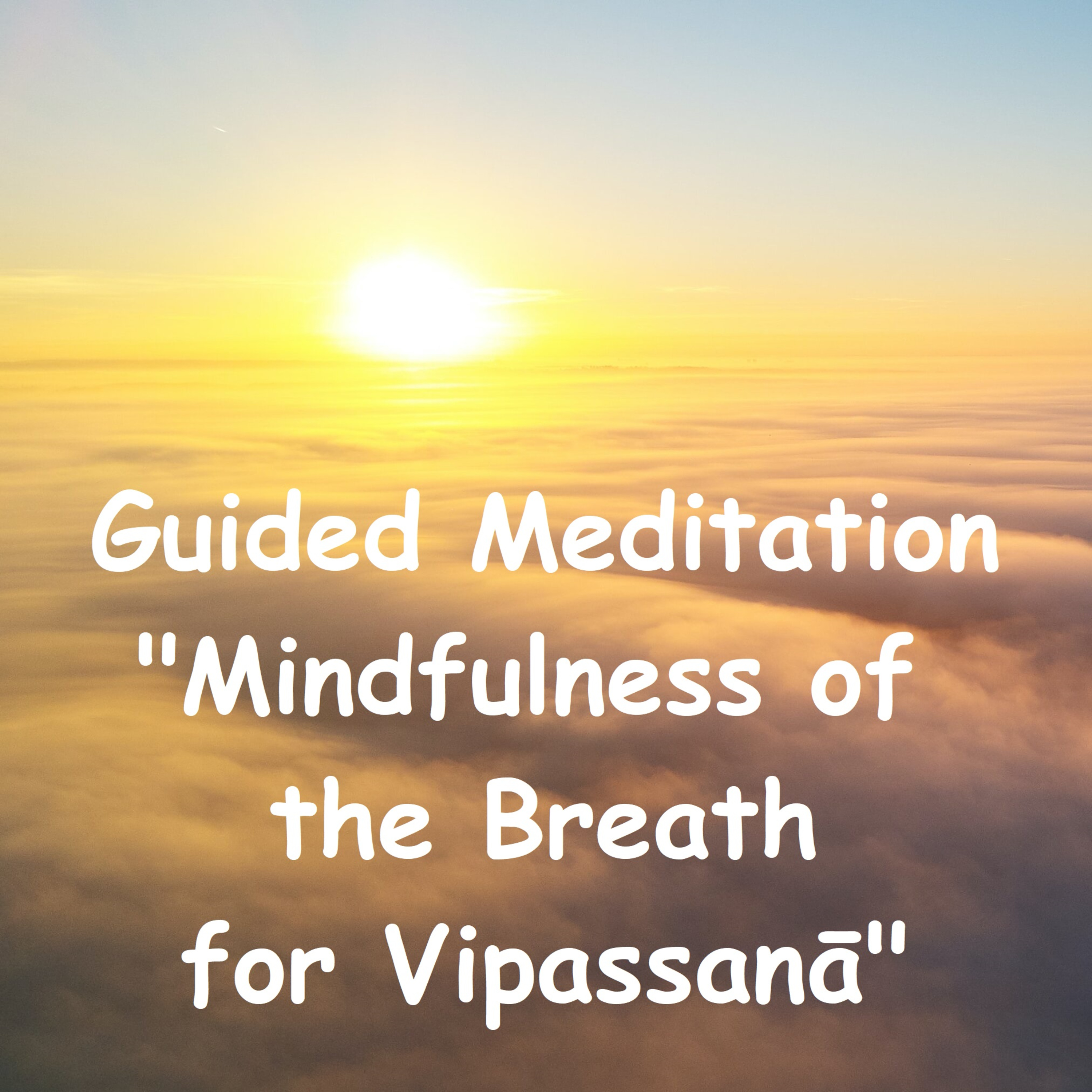 Mindfulness of the Breath for Vipassana | Guided Buddhist Meditation | Ajahn Dhammasiha | Dhammagiri | Anapanasati