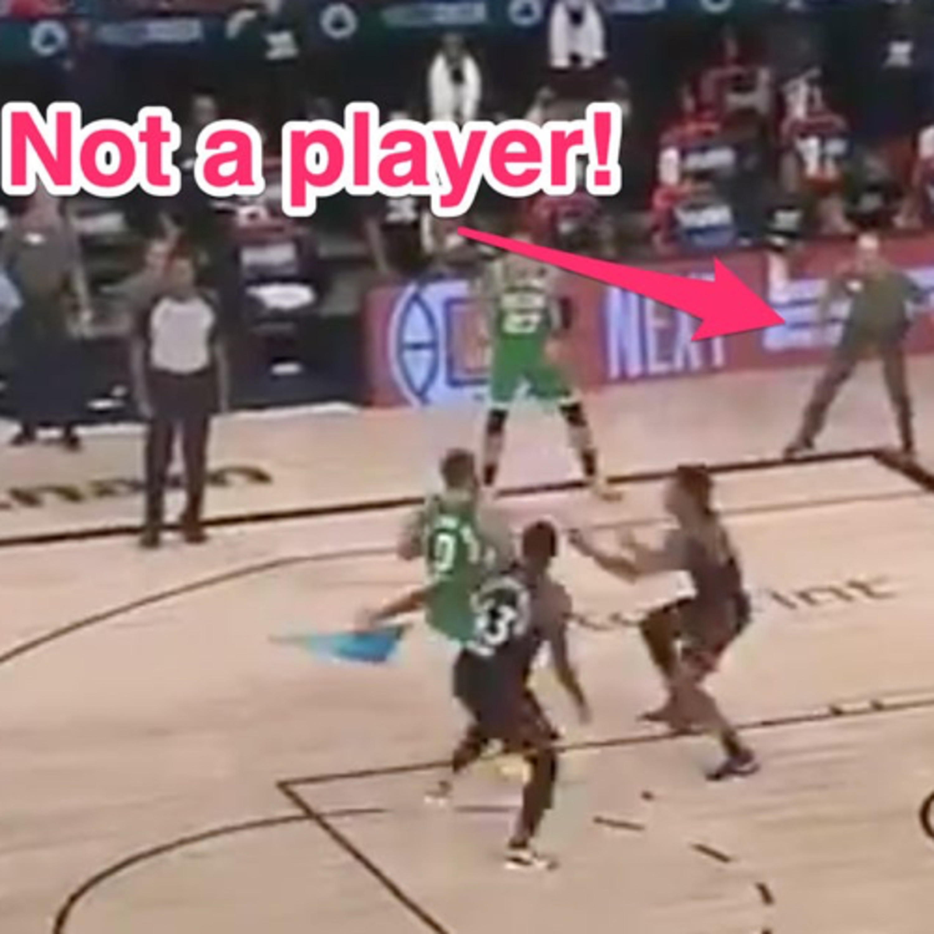 The Boston Sports Fan