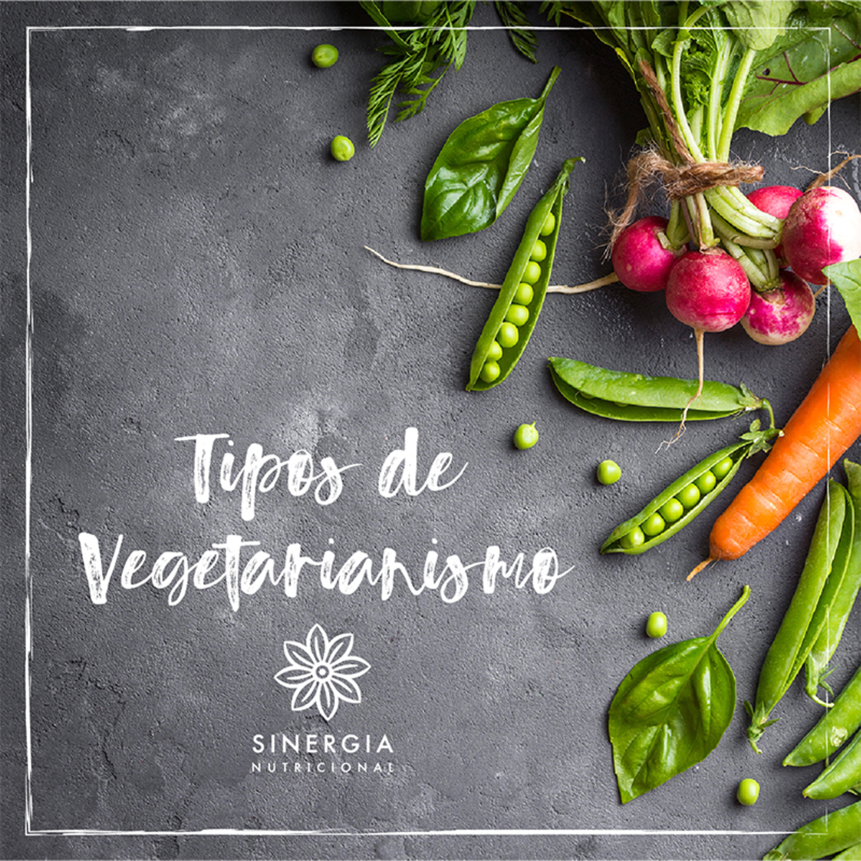 02: Tipos de Vegetarianismo episode artwork