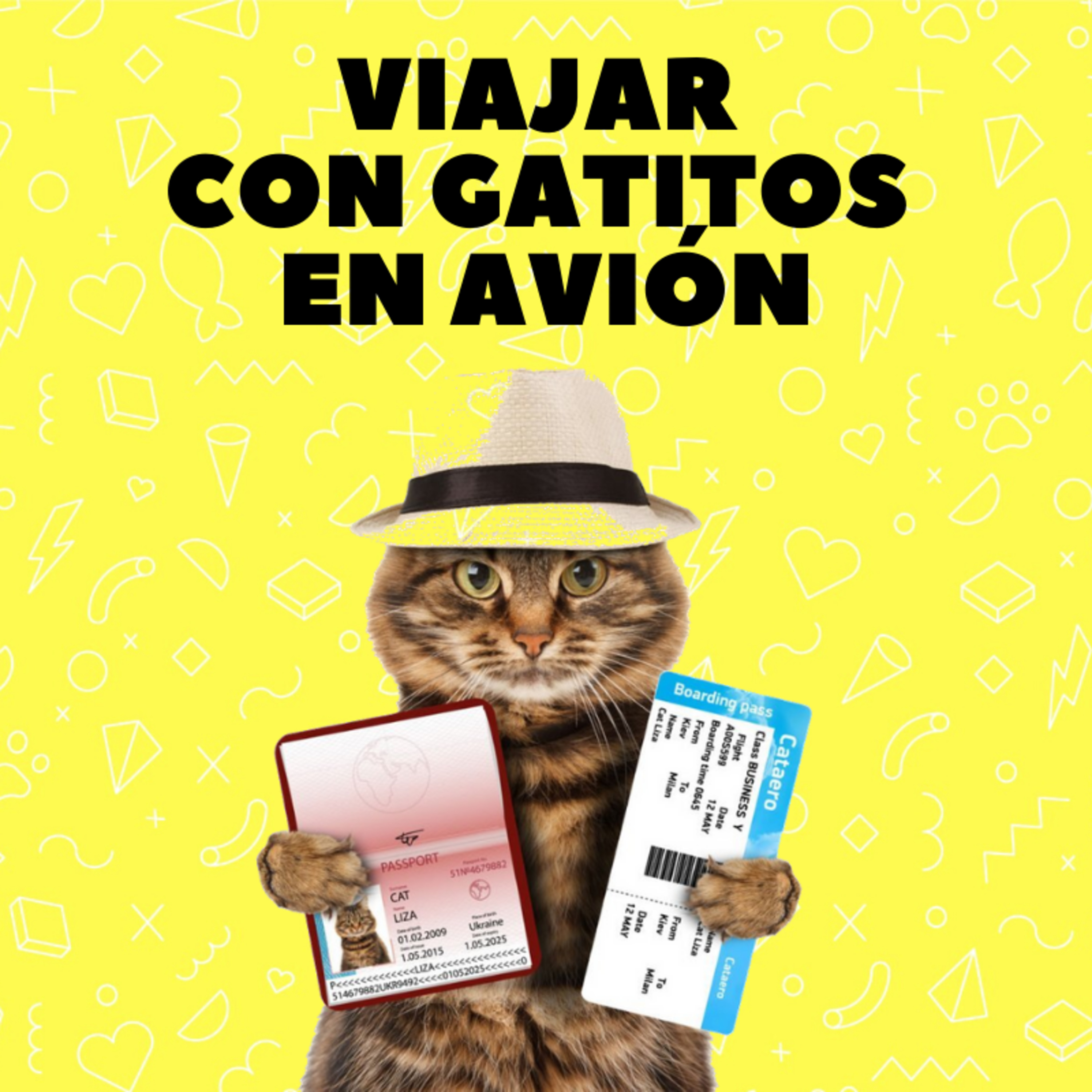 GATOCRACIA