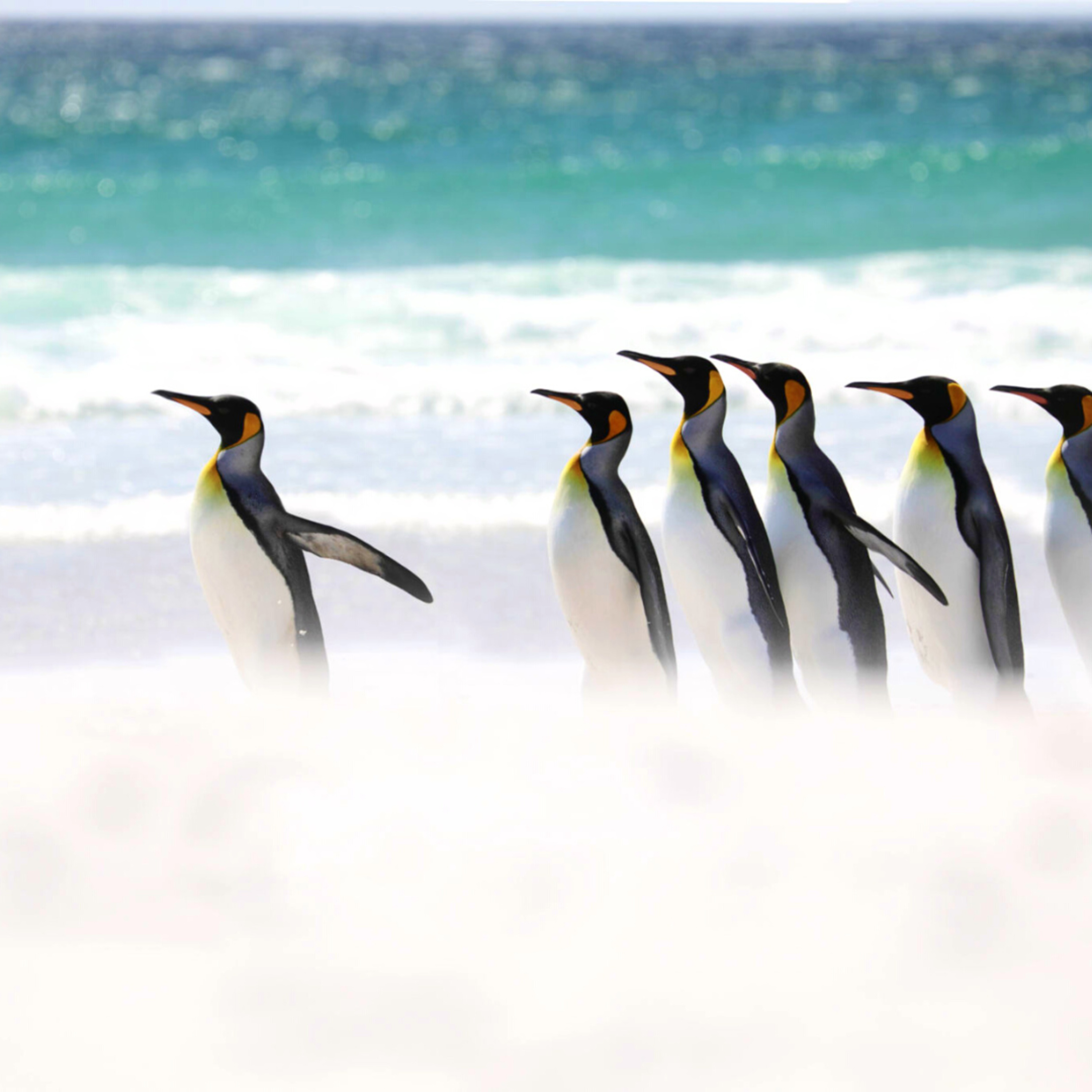 HR Management for Leaders