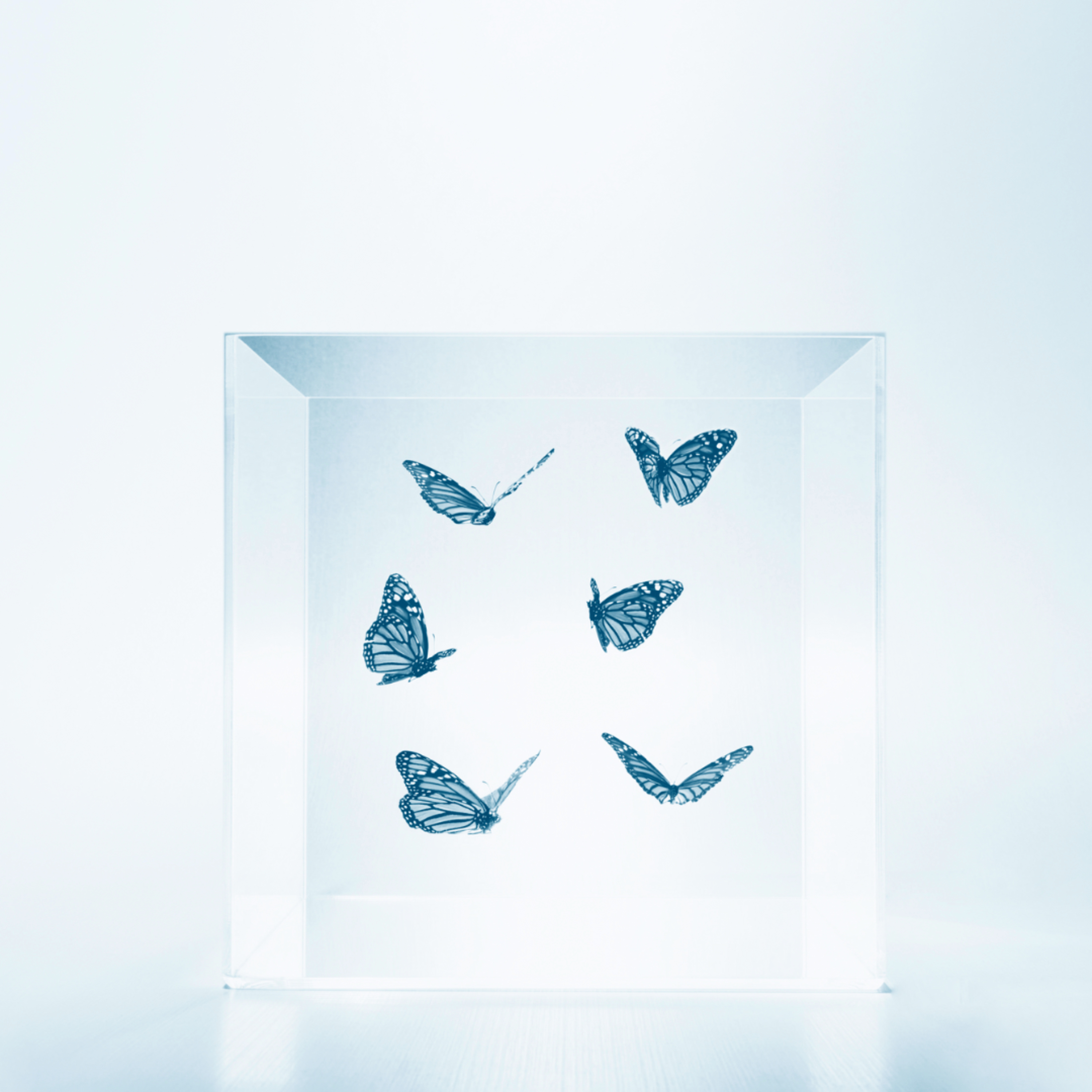 HR Management for Leaders