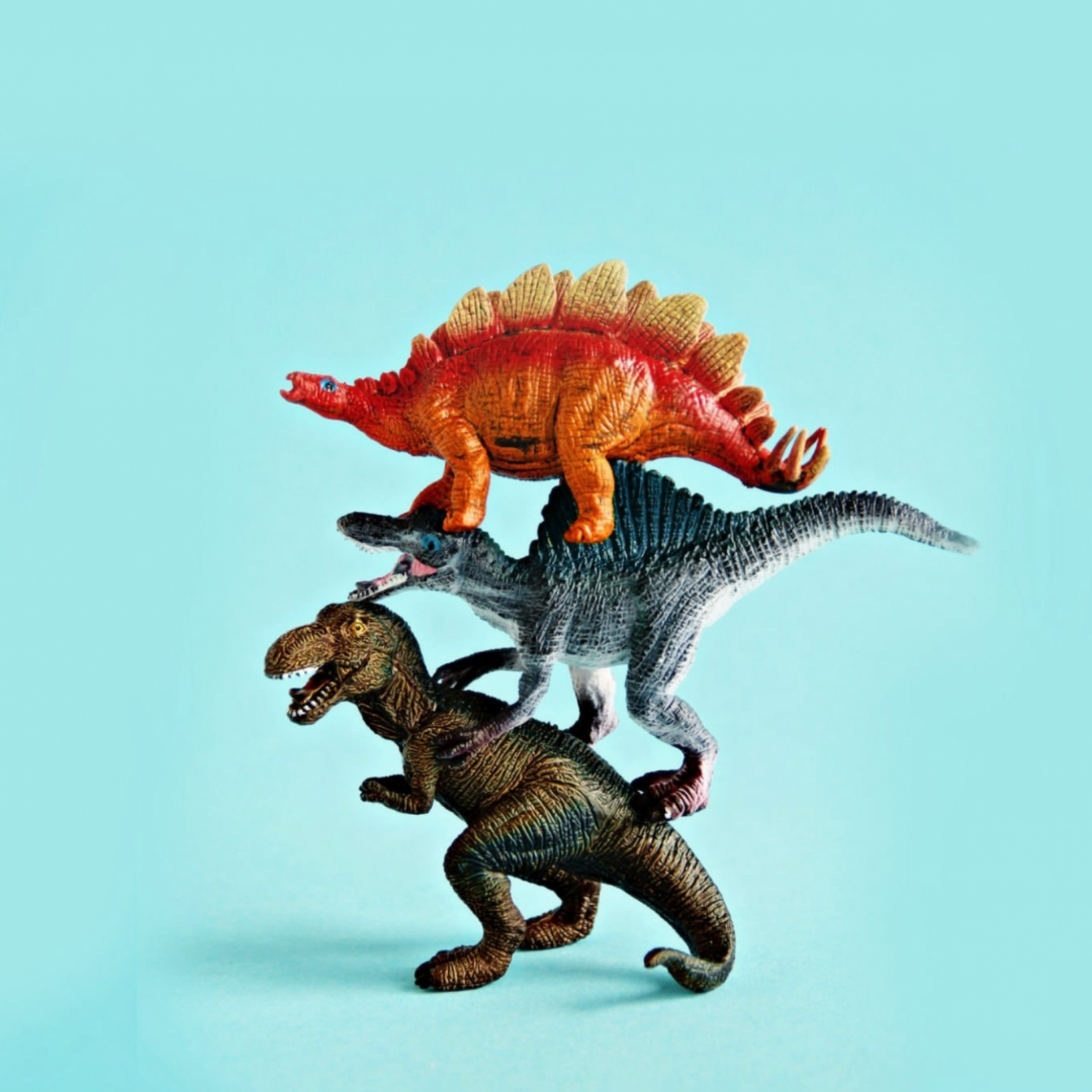HR Management for Leaders