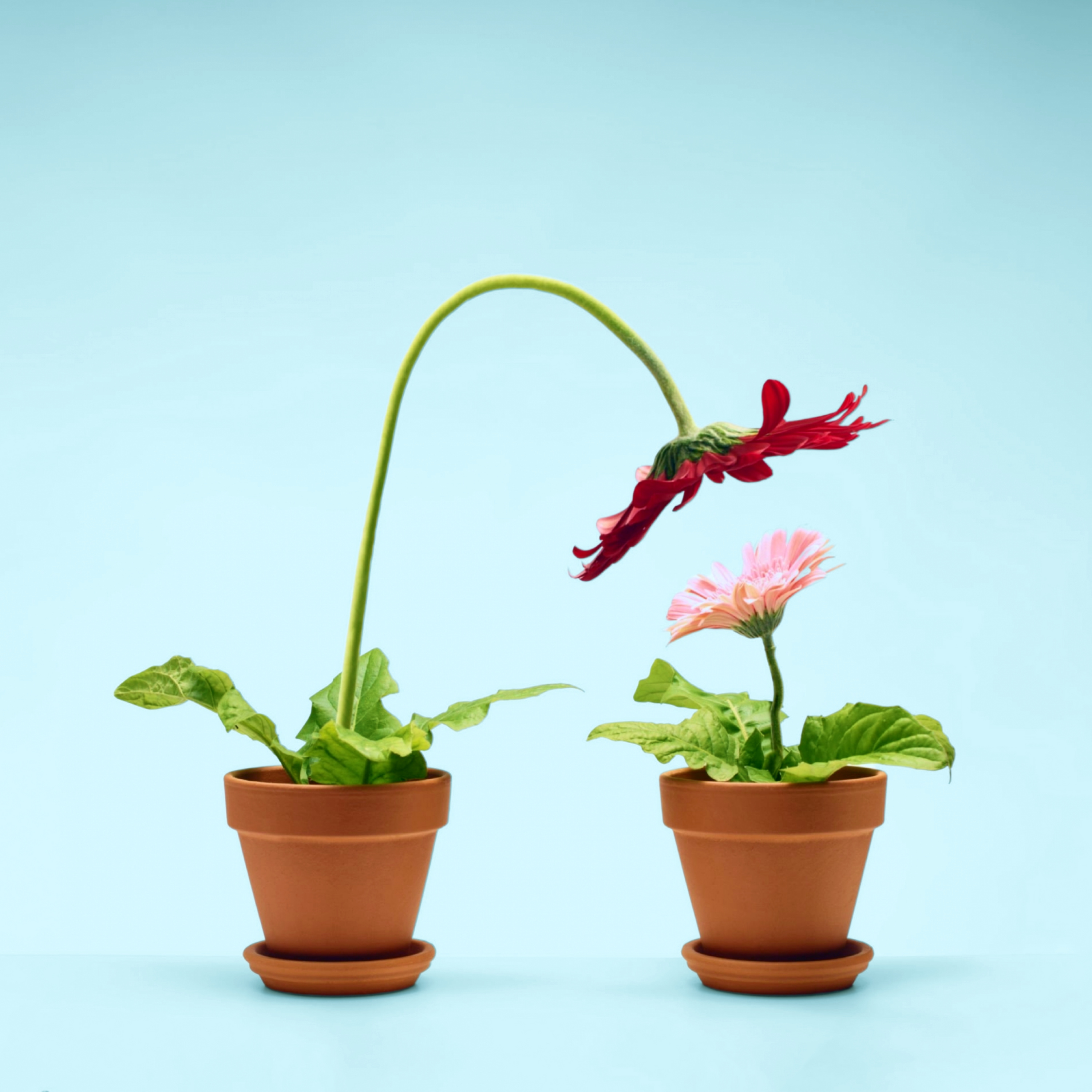 HR Management for Leaders