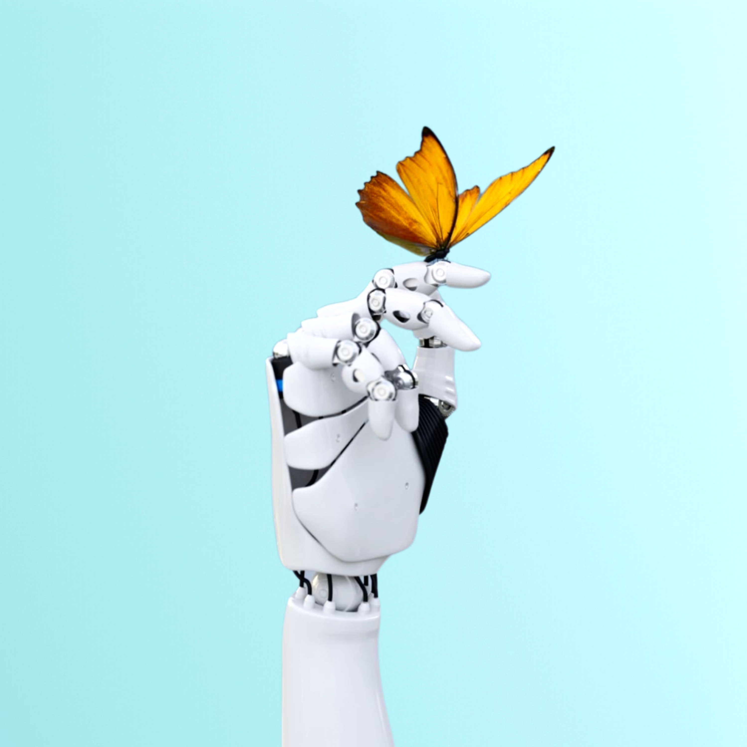 HR Management for Leaders